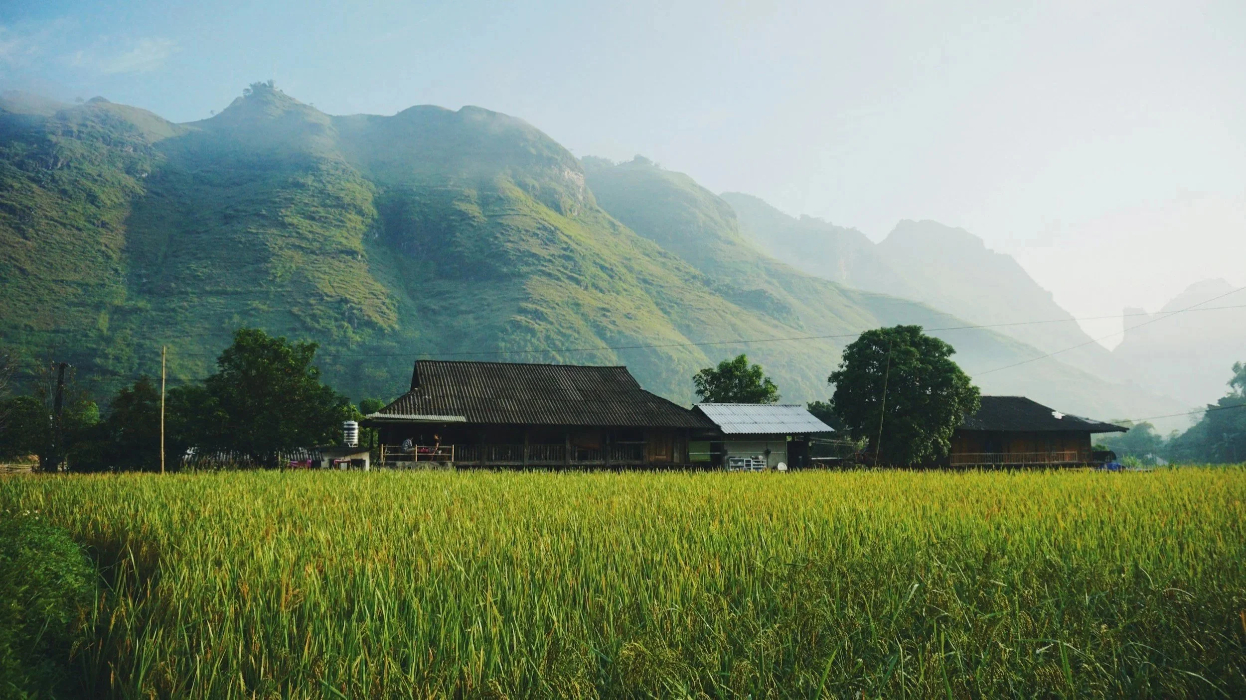 Vietnam Economic News: 25.7 - 1.8.2026