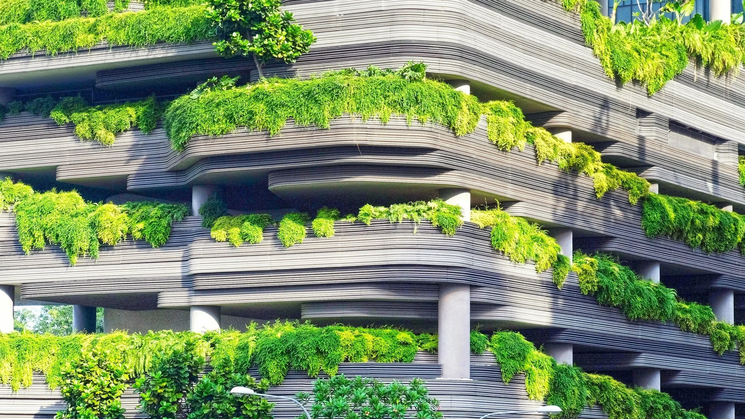 Energy Transition Update: 03.8 - 10.8.2026