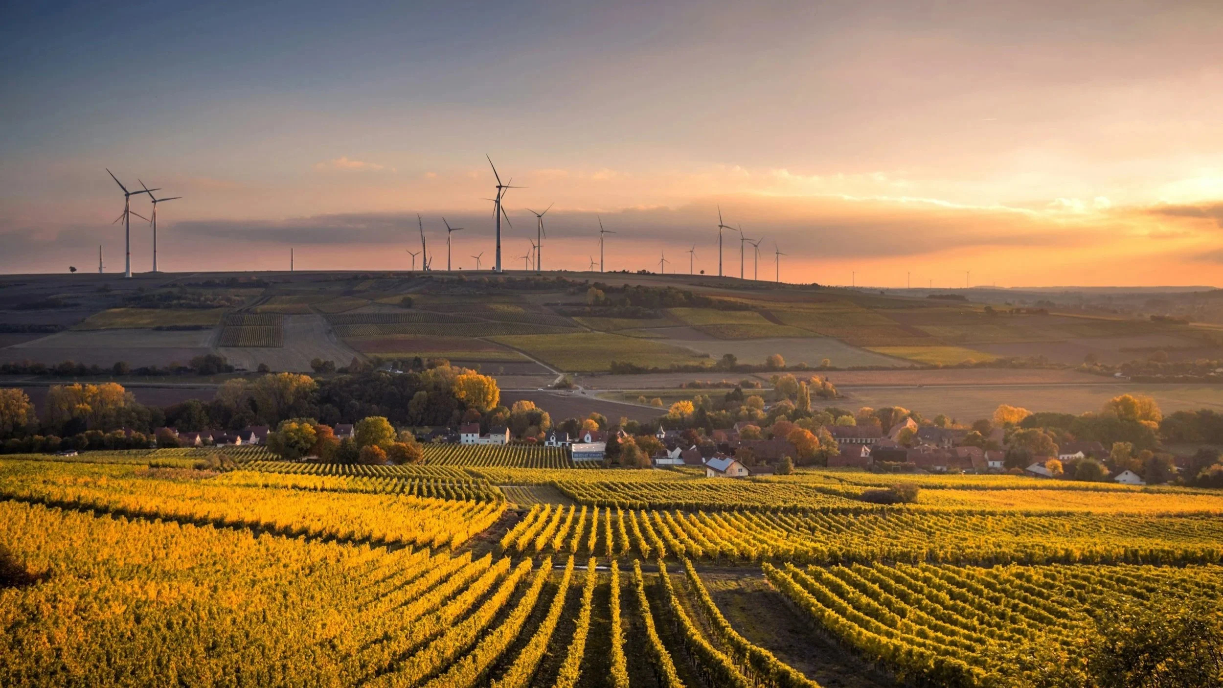 Energy Transition Update: 10.8 - 17.8.2026