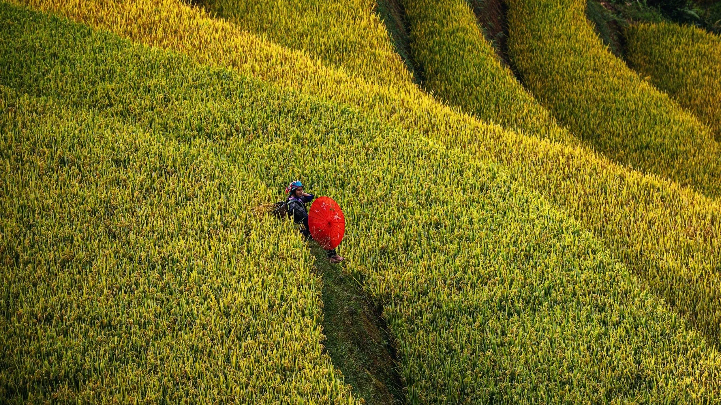 Vietnam Economic News: 19.9 - 26.9.2026