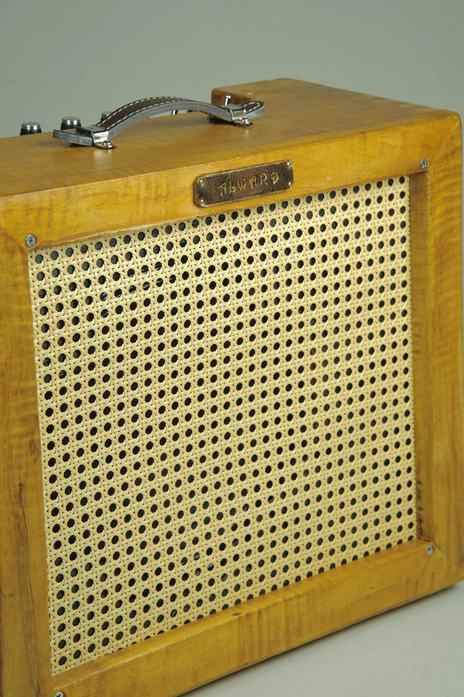 Alward Aquila Deluxe 12" Combo Amplifier5.jpeg