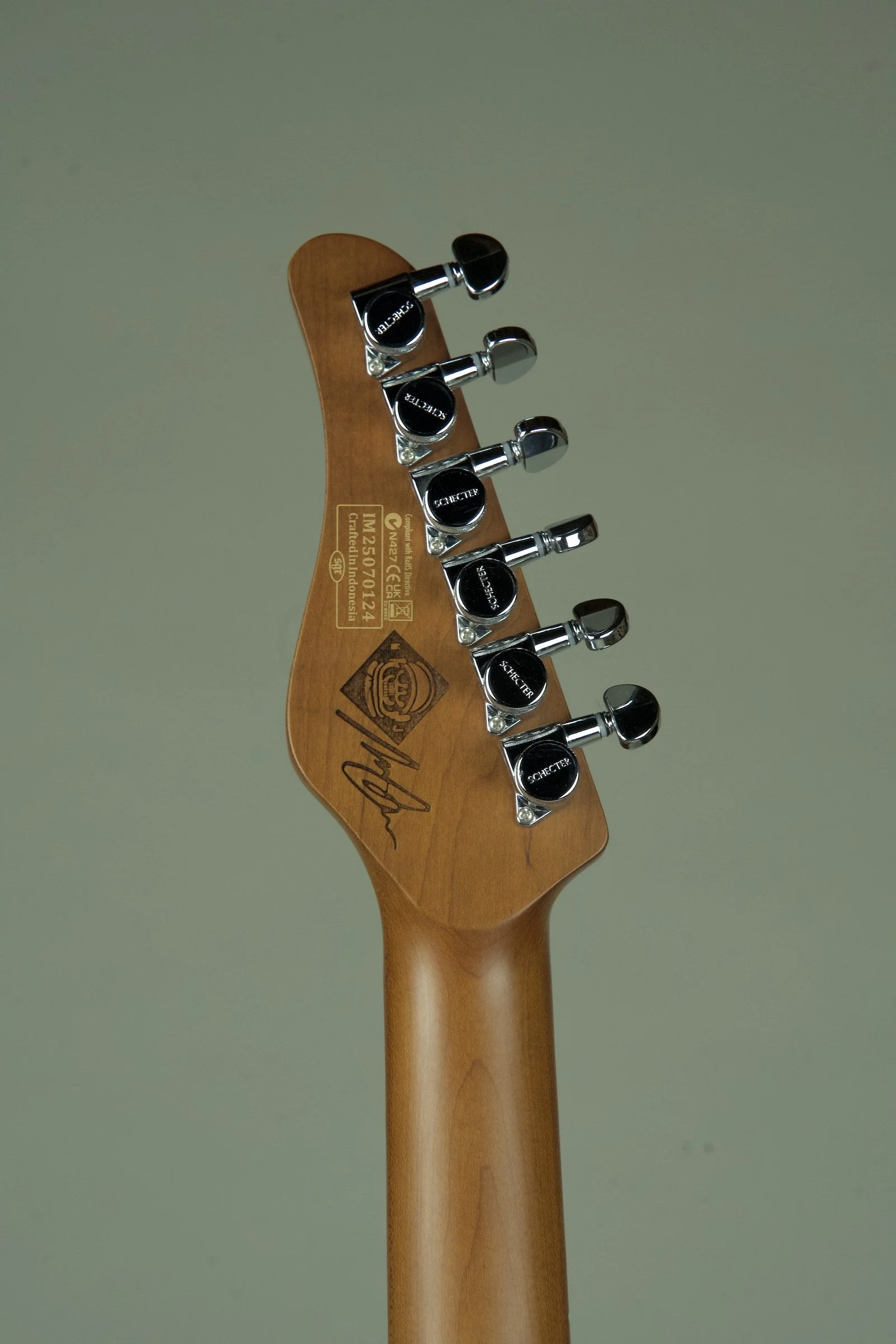 Schecter Nick Johnston Signature PT Electric Guitar Atomic Ink10.jpeg