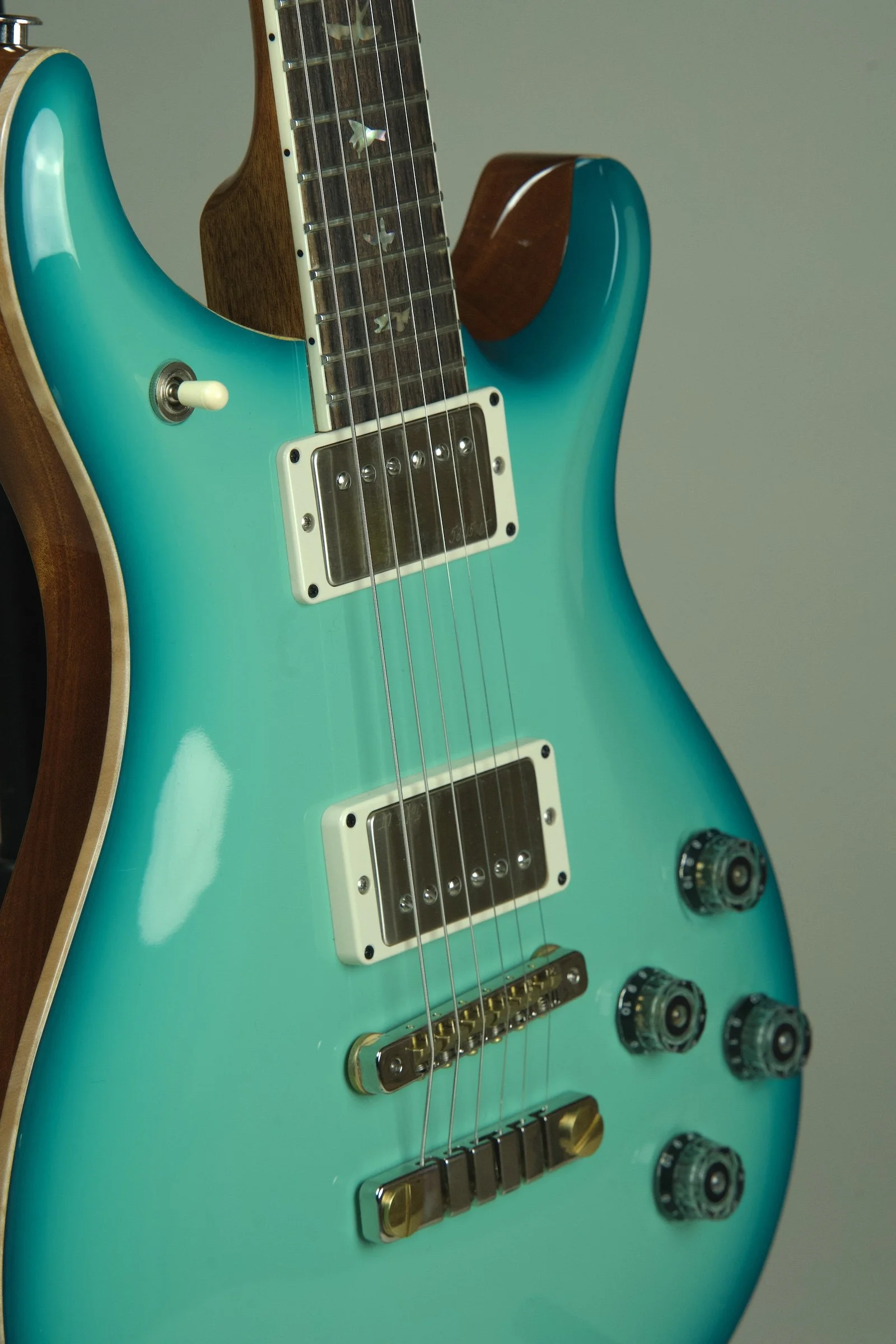 PRS McCarty 594 Electric Guitar - Painters Choice22.jpeg