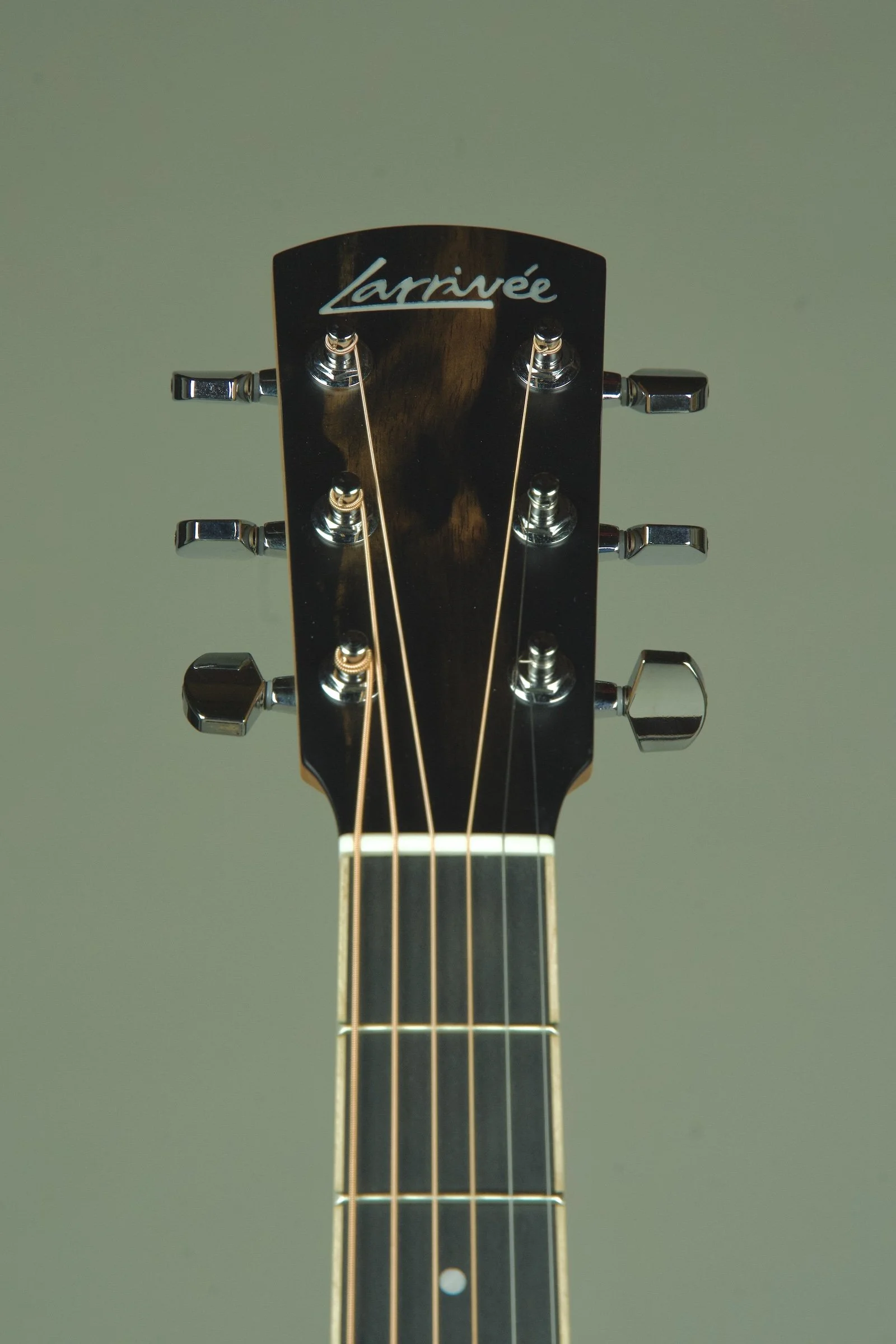 Larrivee DV-03R Acoustic Electric Guitar7.jpeg