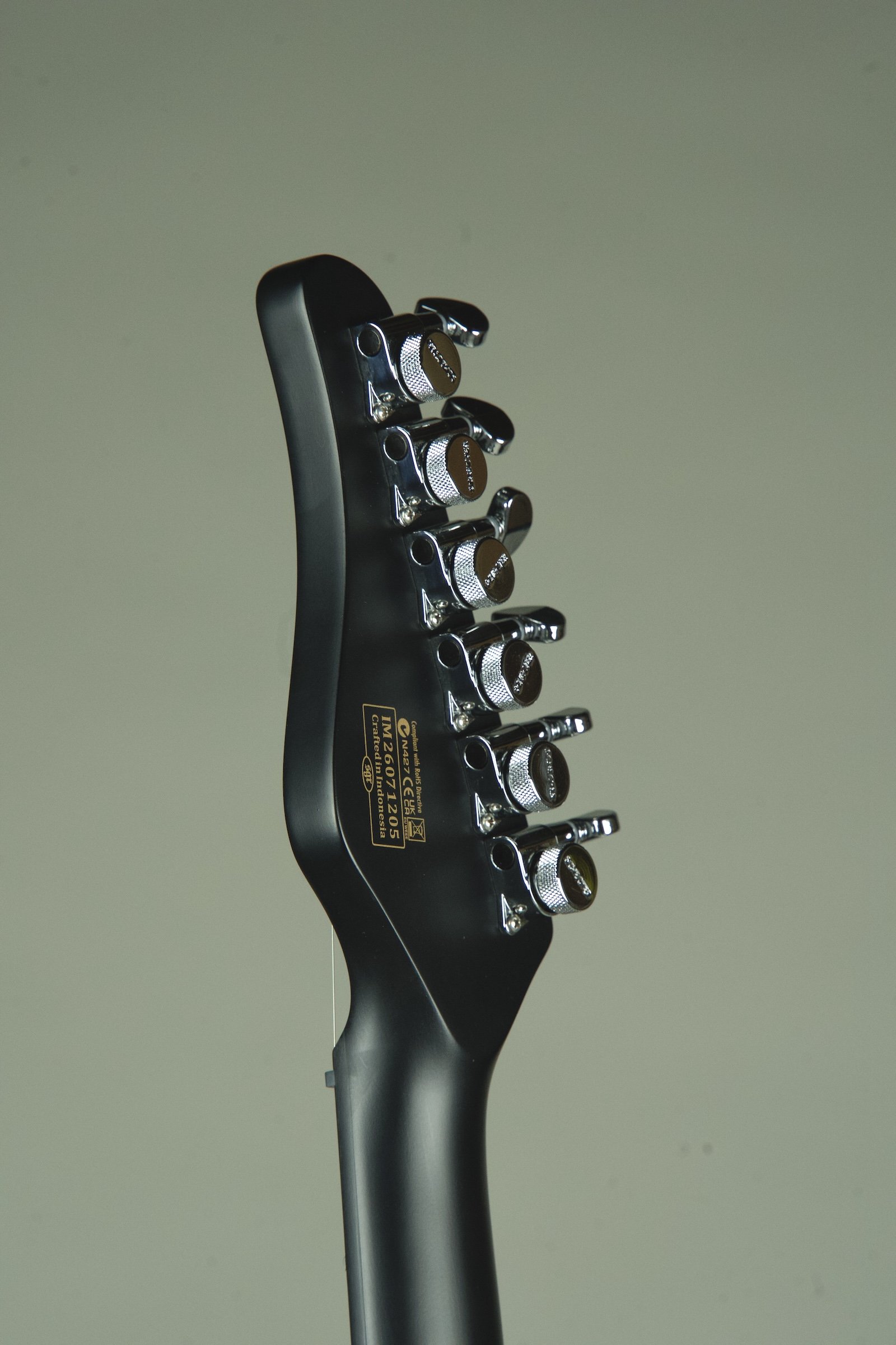 Schecter PT EX Baritone Electric Guitar - Dorian Gray21.jpeg