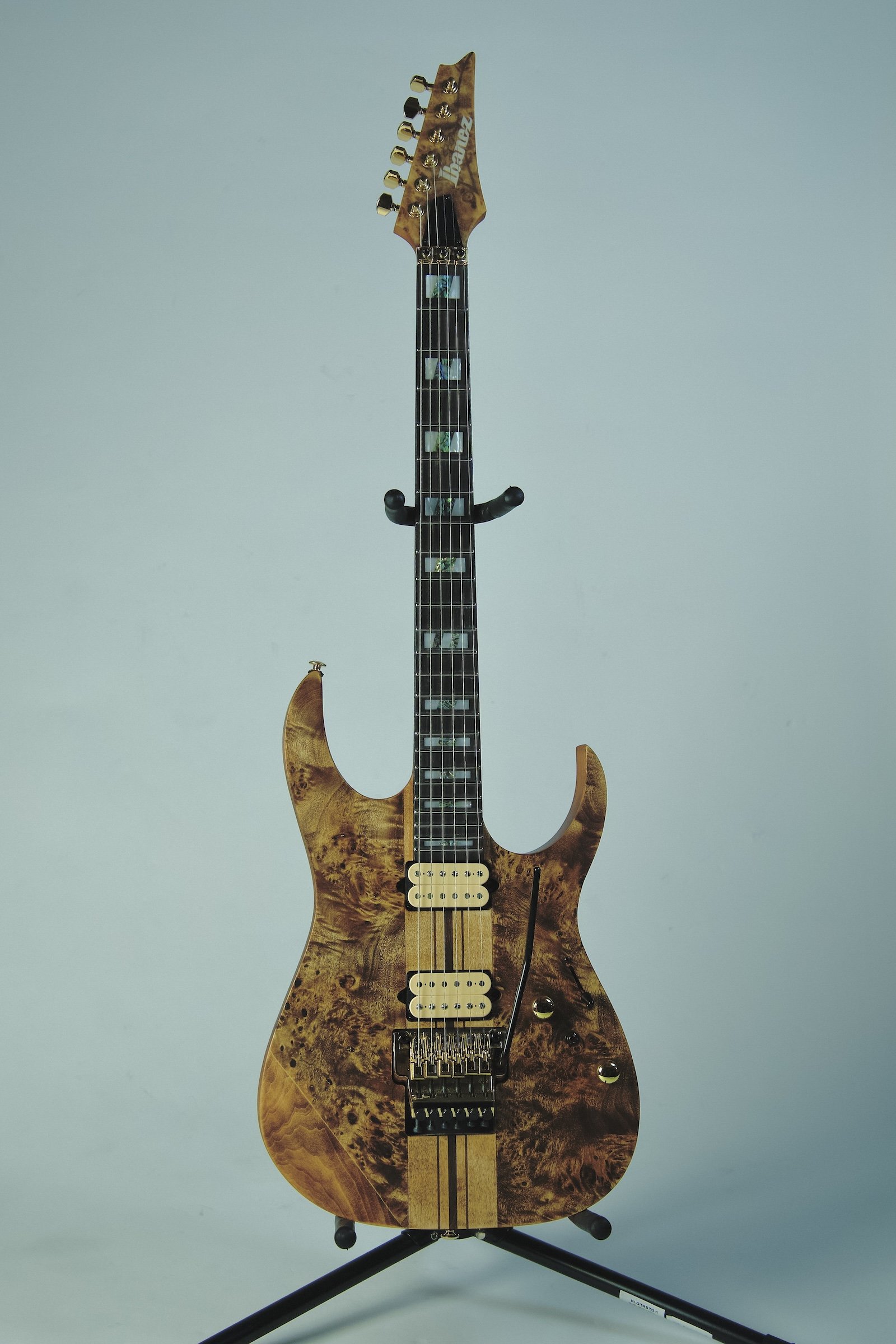 Ibanez_RGT1220PB_Electric Guitar1.jpeg