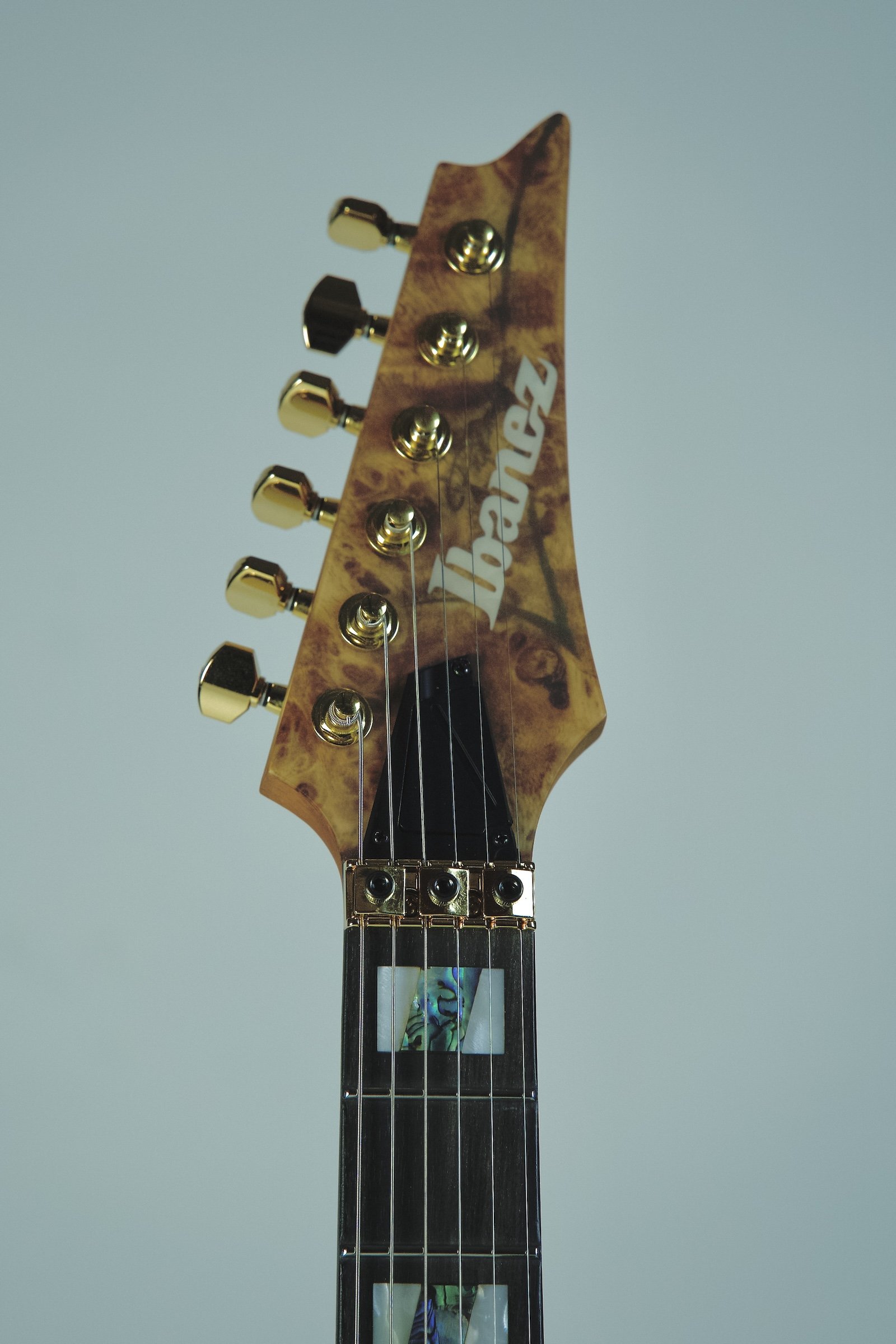 Ibanez_RGT1220PB_Electric Guitar3.jpeg