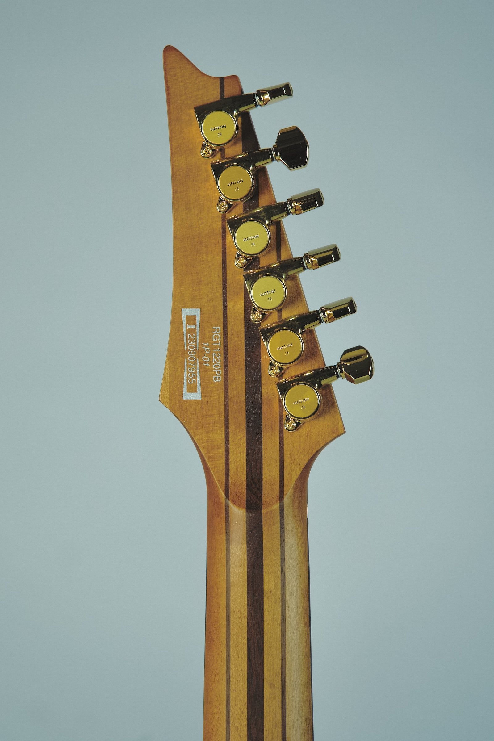 Ibanez_RGT1220PB_Electric Guitar6.jpeg