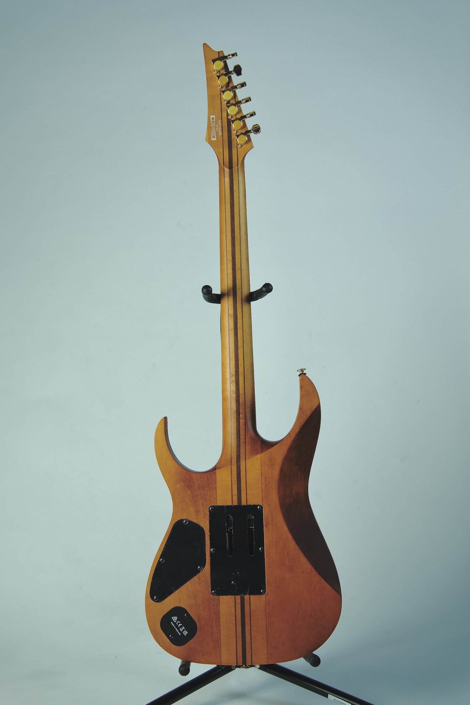Ibanez_RGT1220PB_Electric Guitar4.jpeg