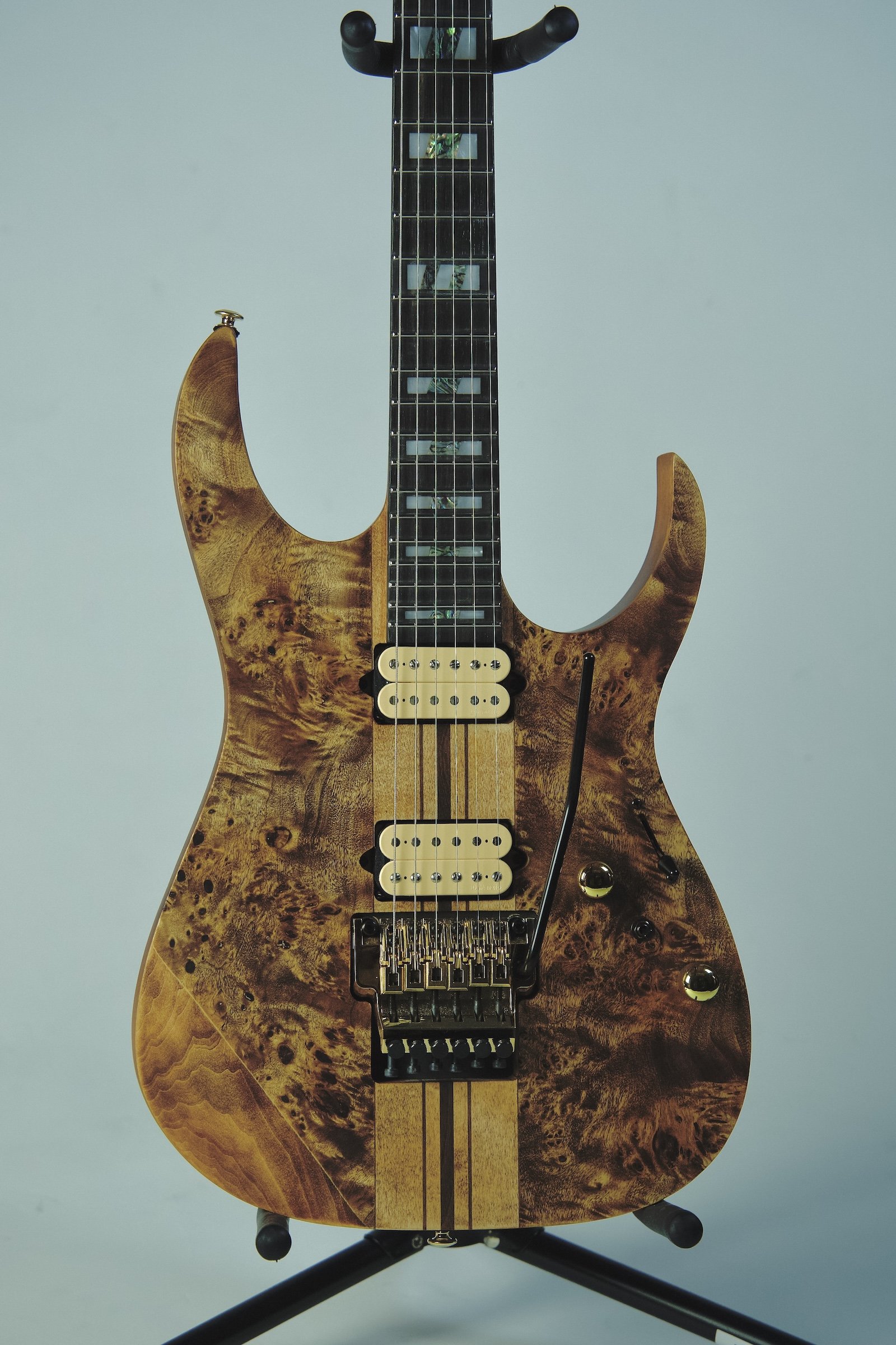 Ibanez_RGT1220PB_Electric Guitar2.jpeg
