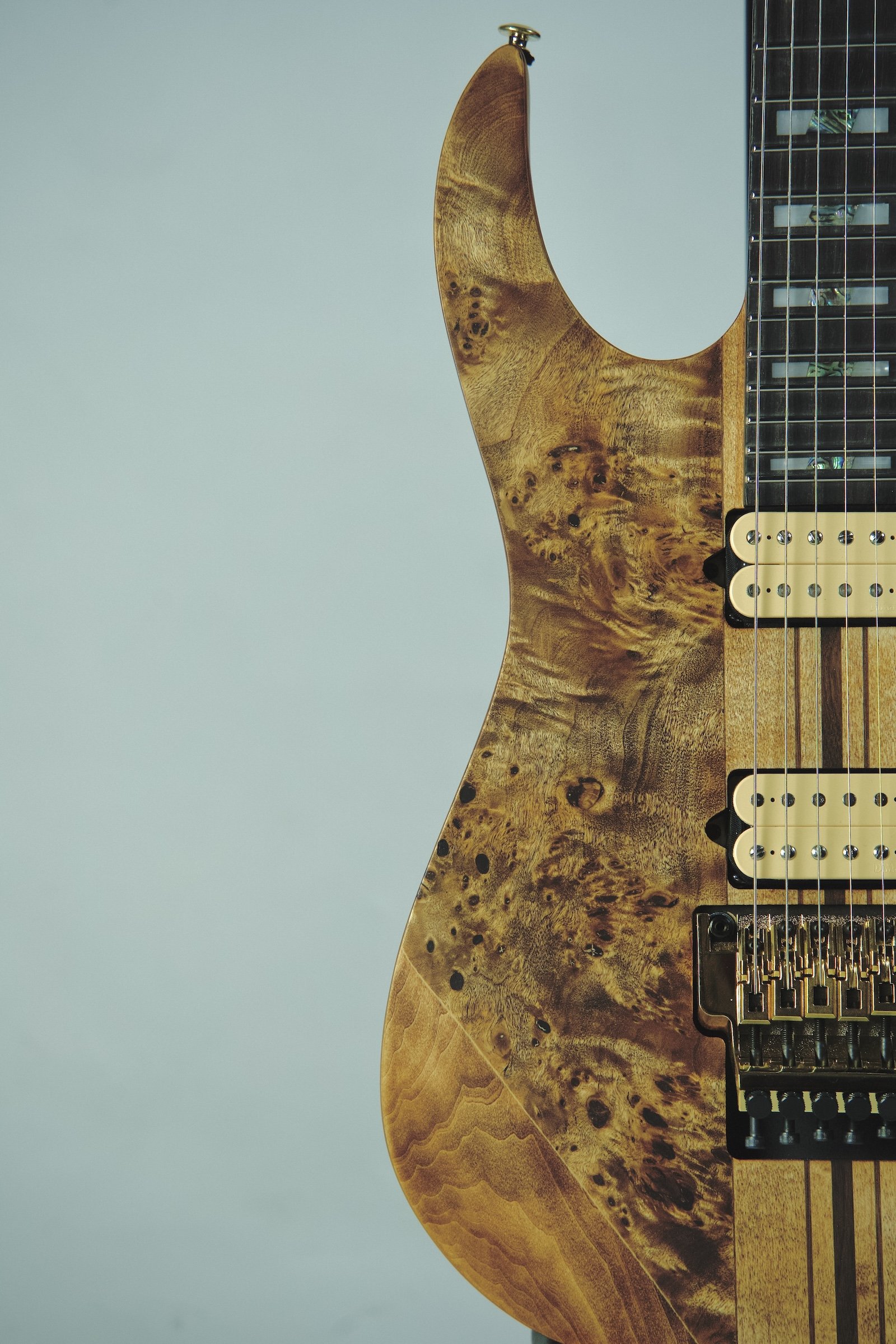 Ibanez_RGT1220PB_Electric Guitar7.jpeg