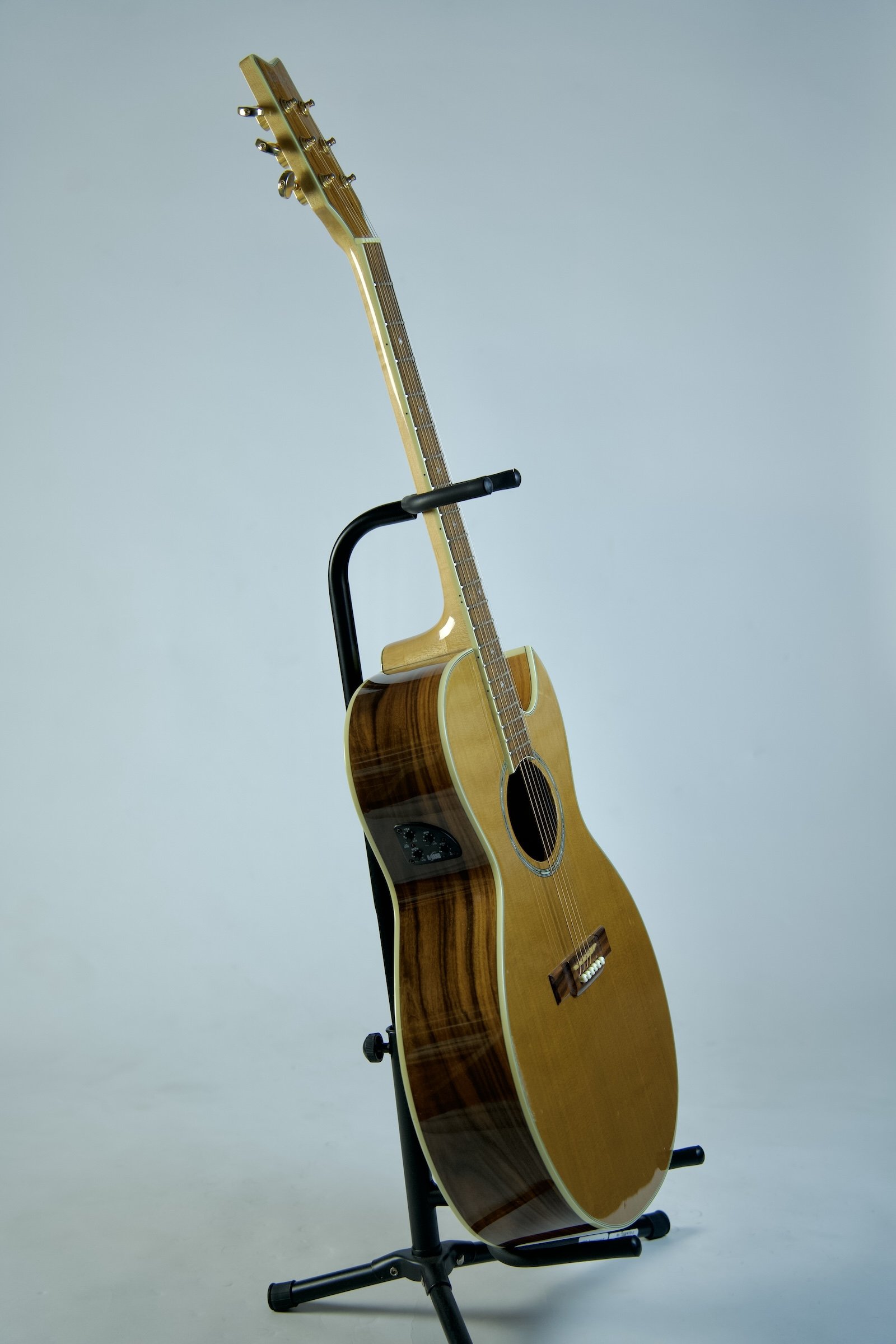 Used Washburn Festival Series EA-45S10.jpeg