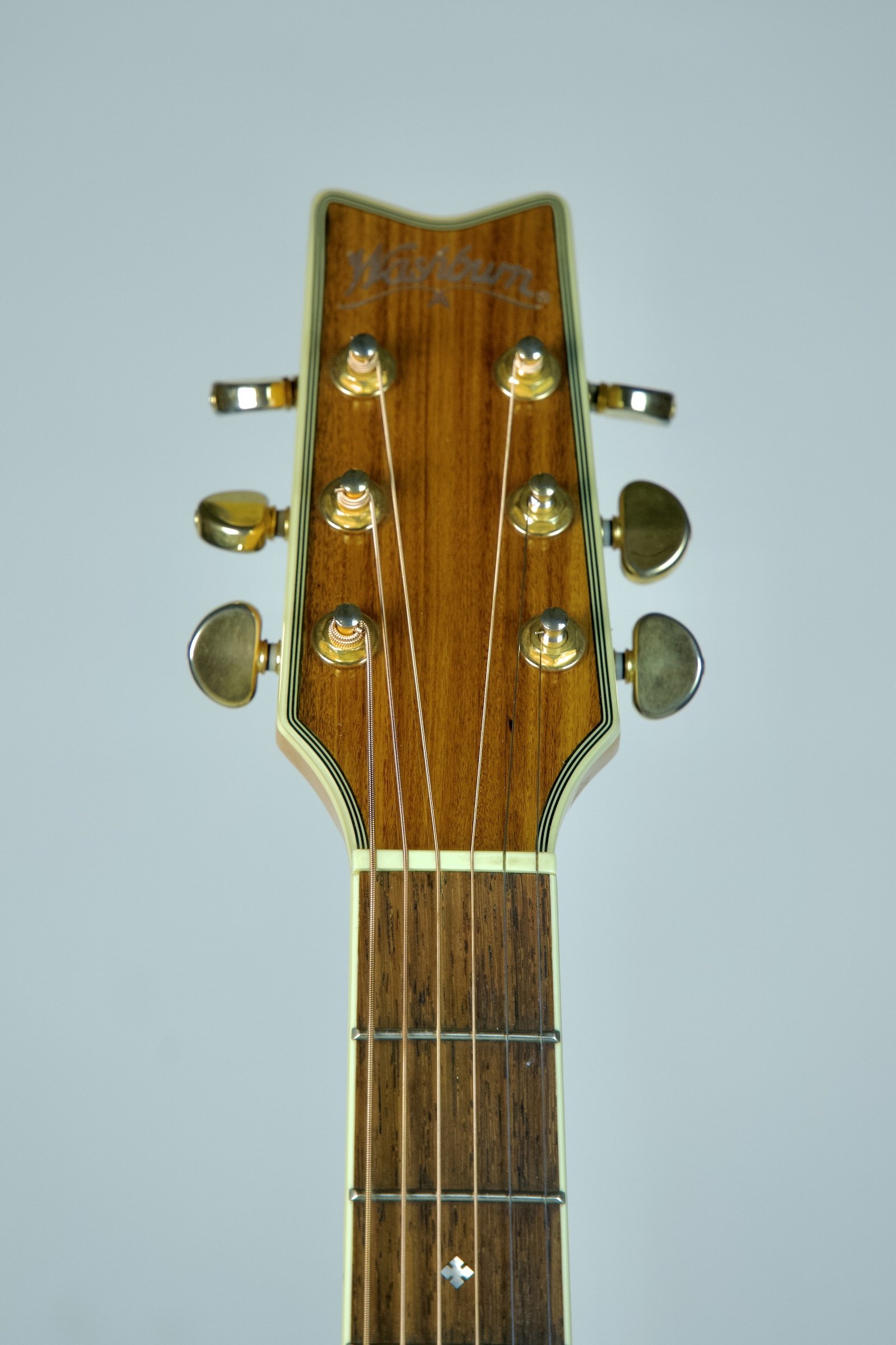 Used Washburn Festival Series EA-45S4.jpeg