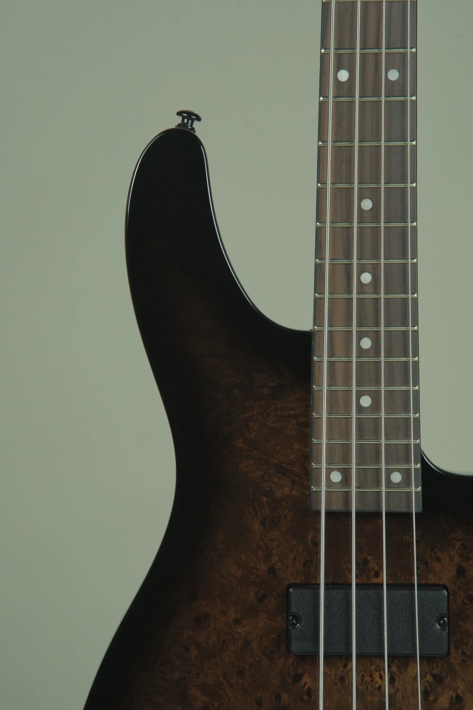 Schecter C-4 Standard Electric Bass - Tobacco Burl5.jpeg