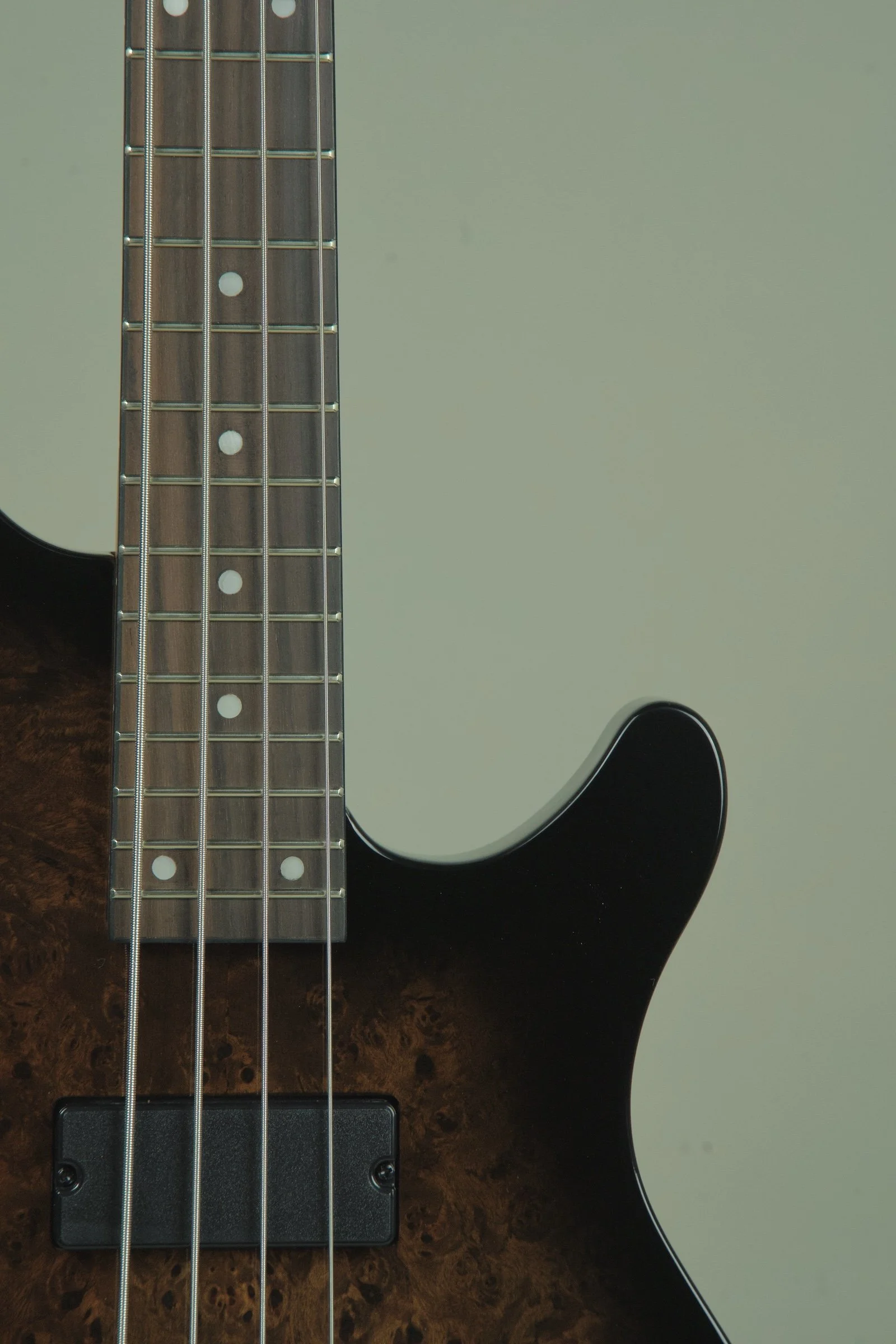 Schecter C-4 Standard Electric Bass - Tobacco Burl7.jpeg