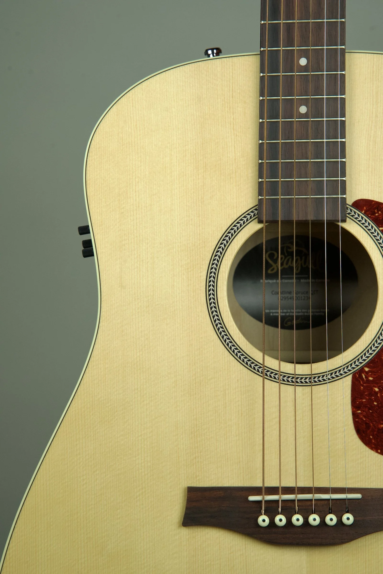 Seagull Coastline Spruce Acoustic Electric Guitar4.jpeg