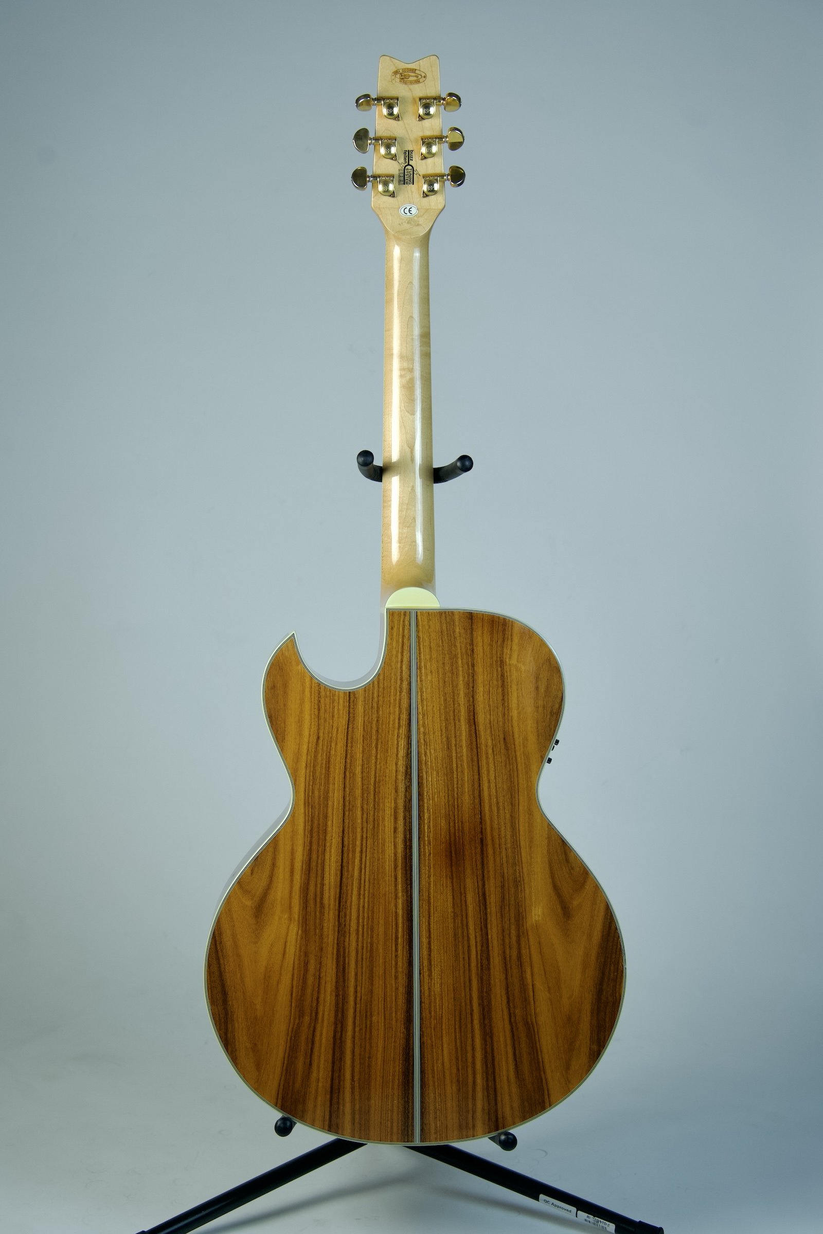 Used Washburn Festival Series EA-45S6.jpeg
