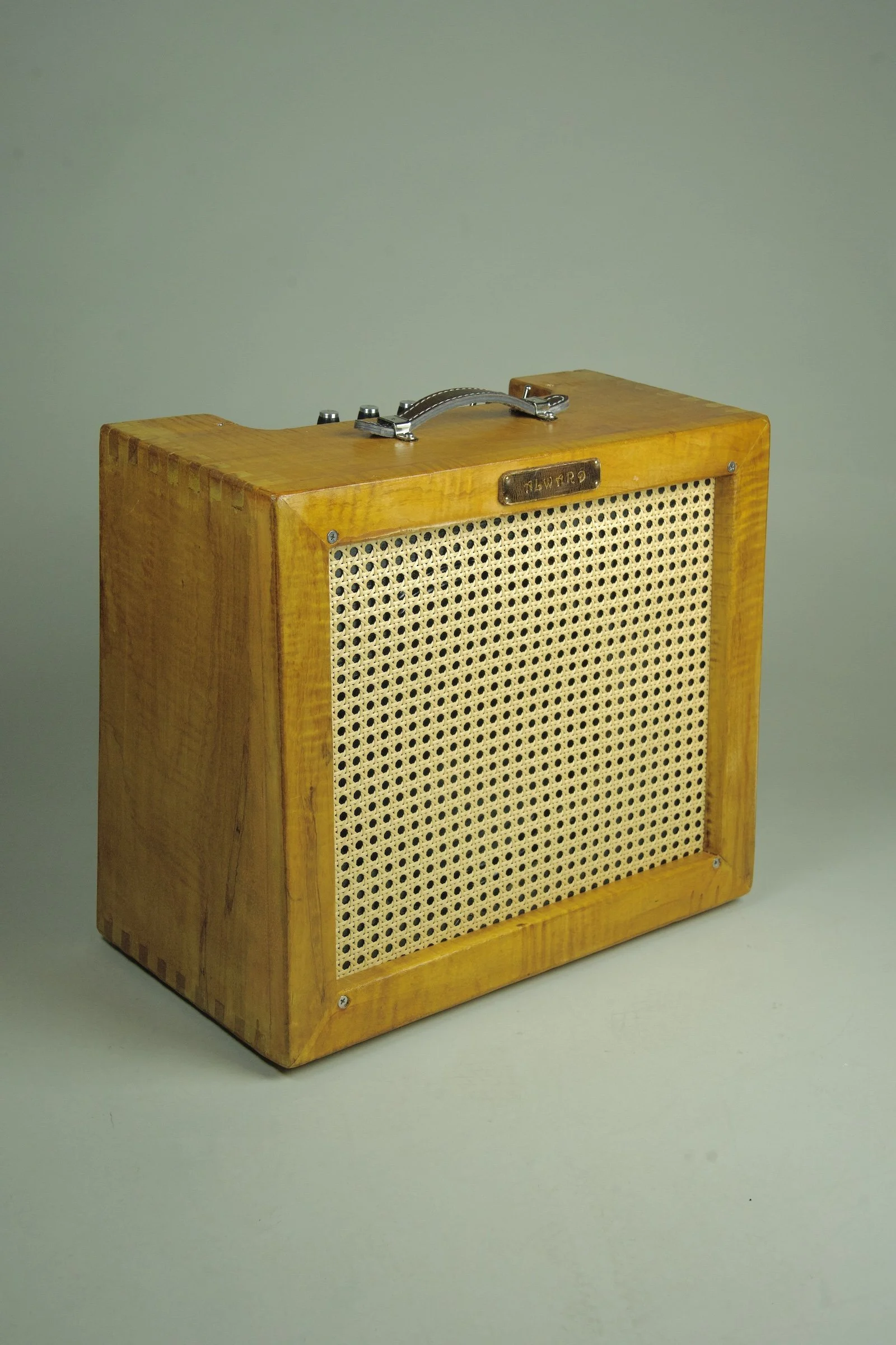 Alward Aquila Deluxe 12" Combo Amplifier6.jpeg