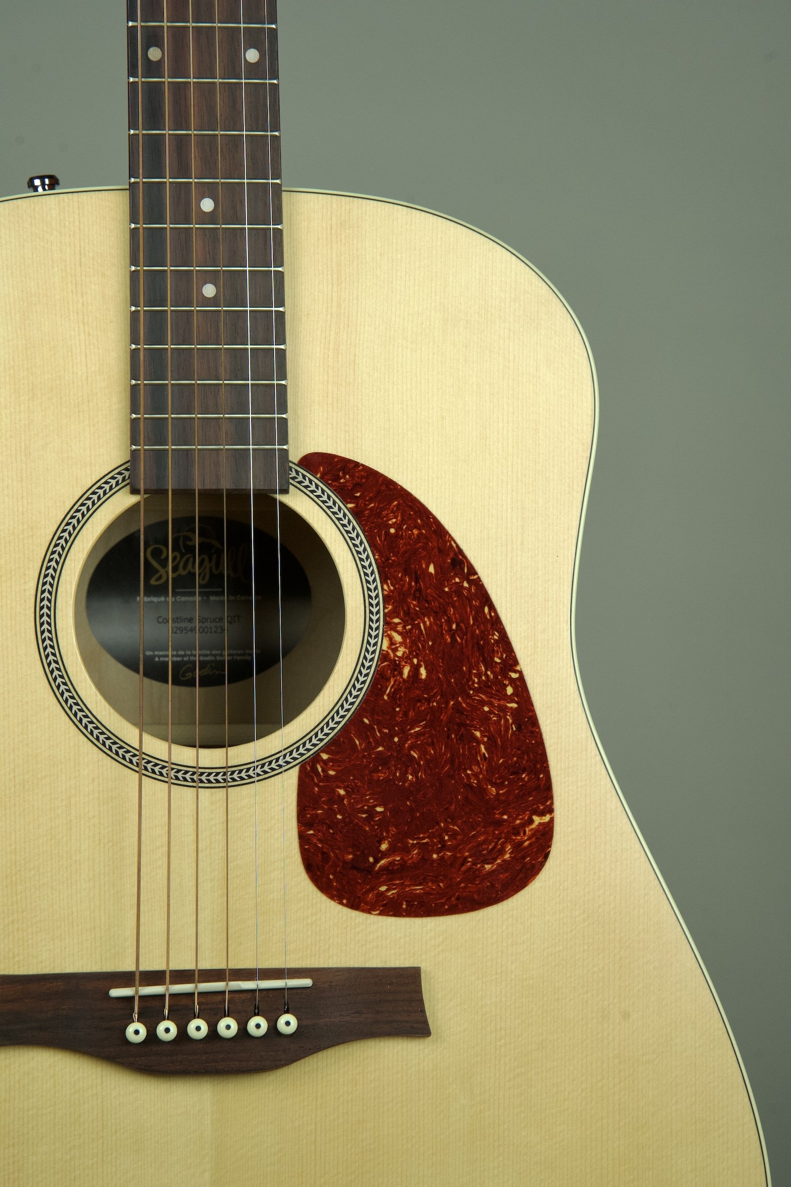 Seagull Coastline Spruce Acoustic Electric Guitar5.jpeg