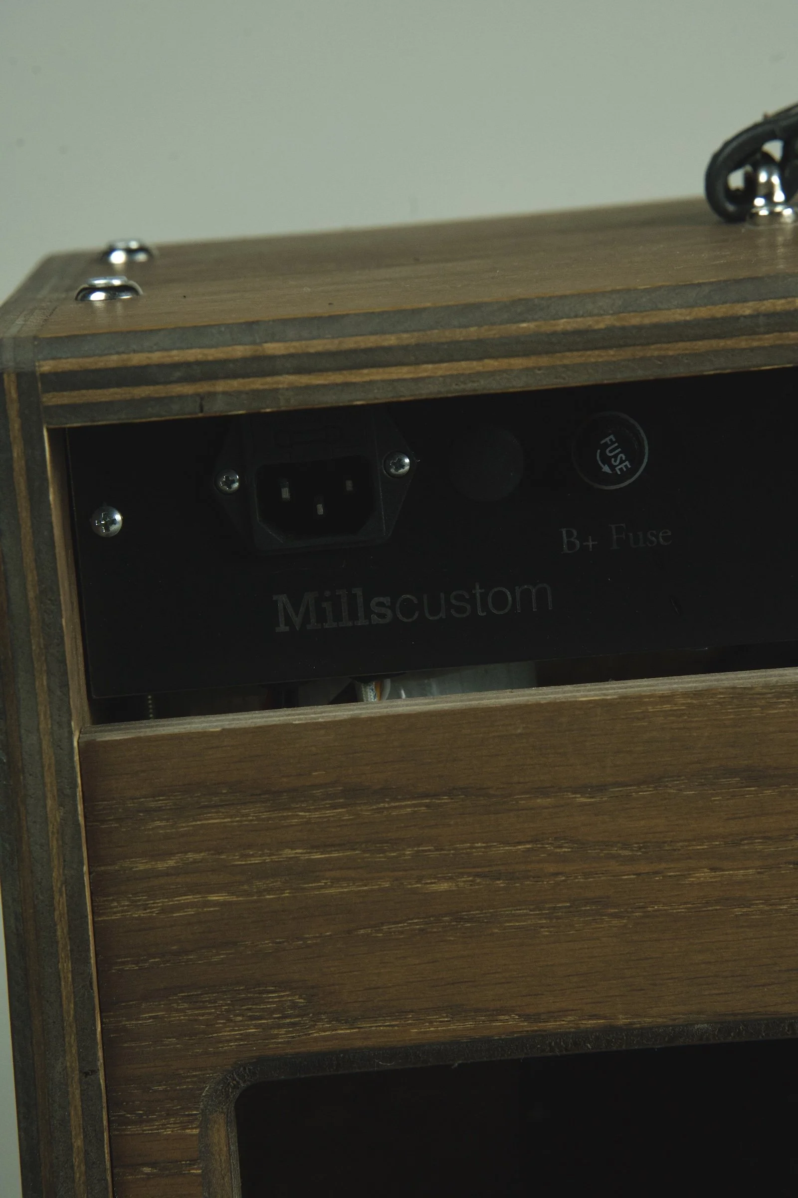Mills Custom Atlas Combo Amplifier9.jpeg