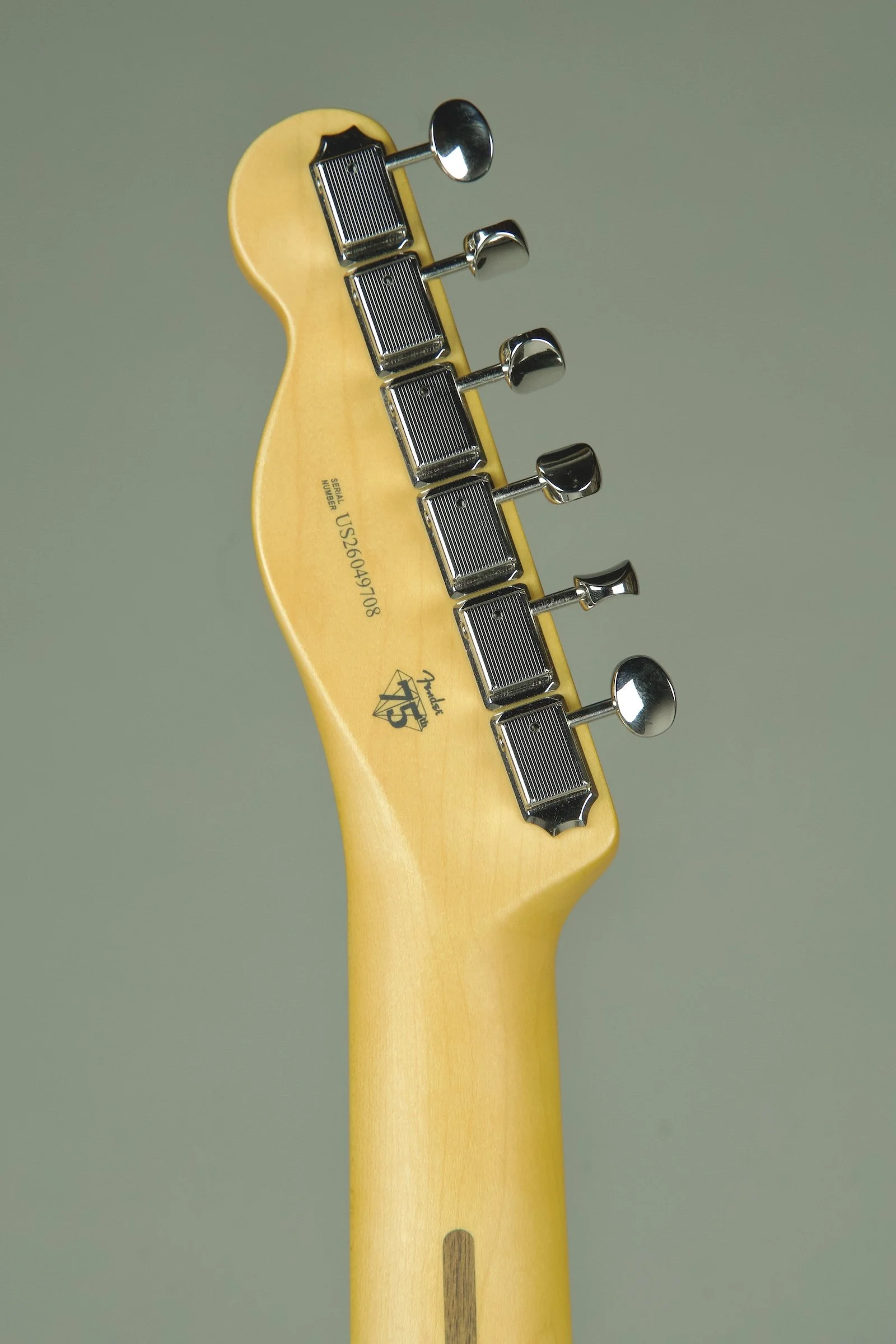 Fender American Professional Classic Telecaster Electric Guitar - Butterscotch Blonde10.jpeg