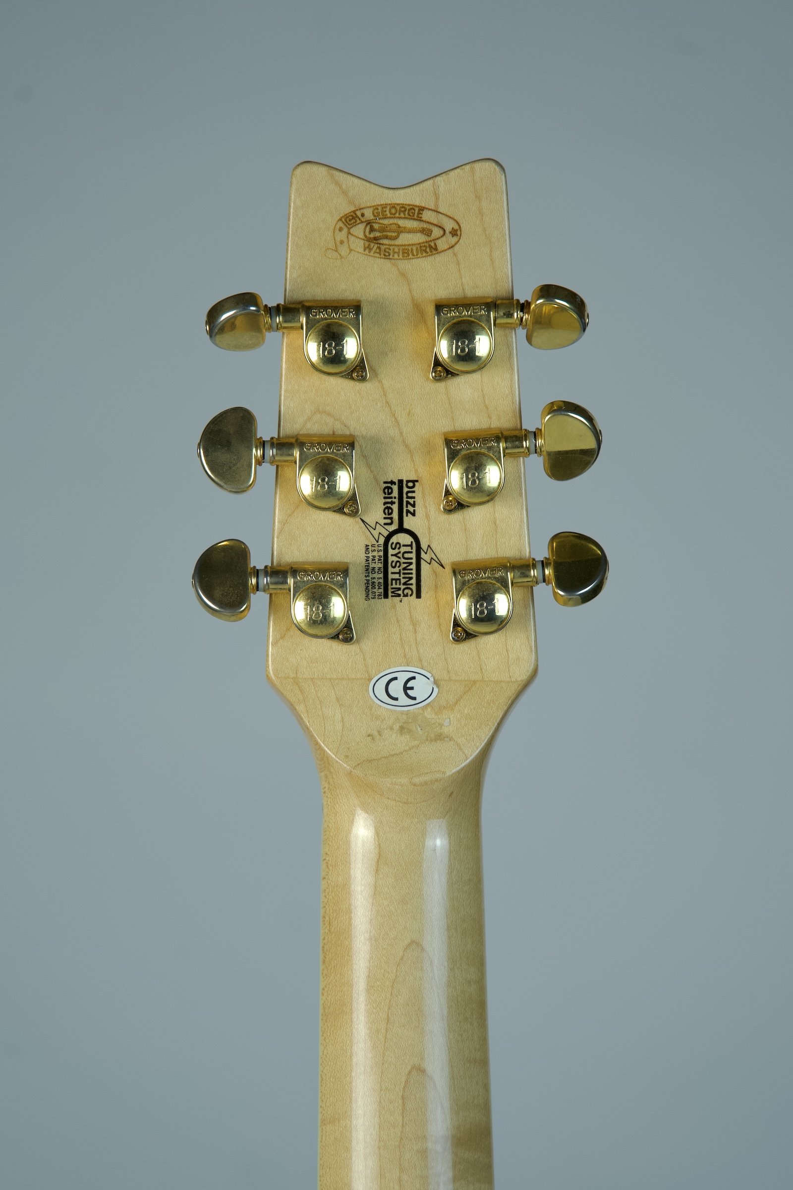 Used Washburn Festival Series EA-45S8.jpeg