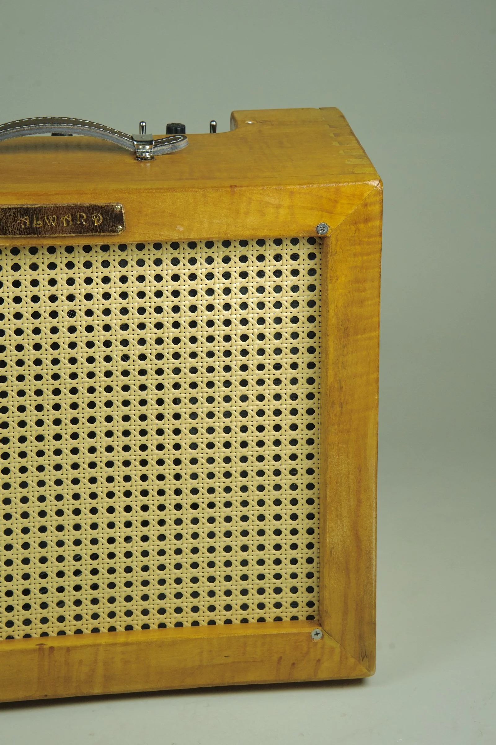 Alward Aquila Deluxe 12" Combo Amplifier4.jpeg