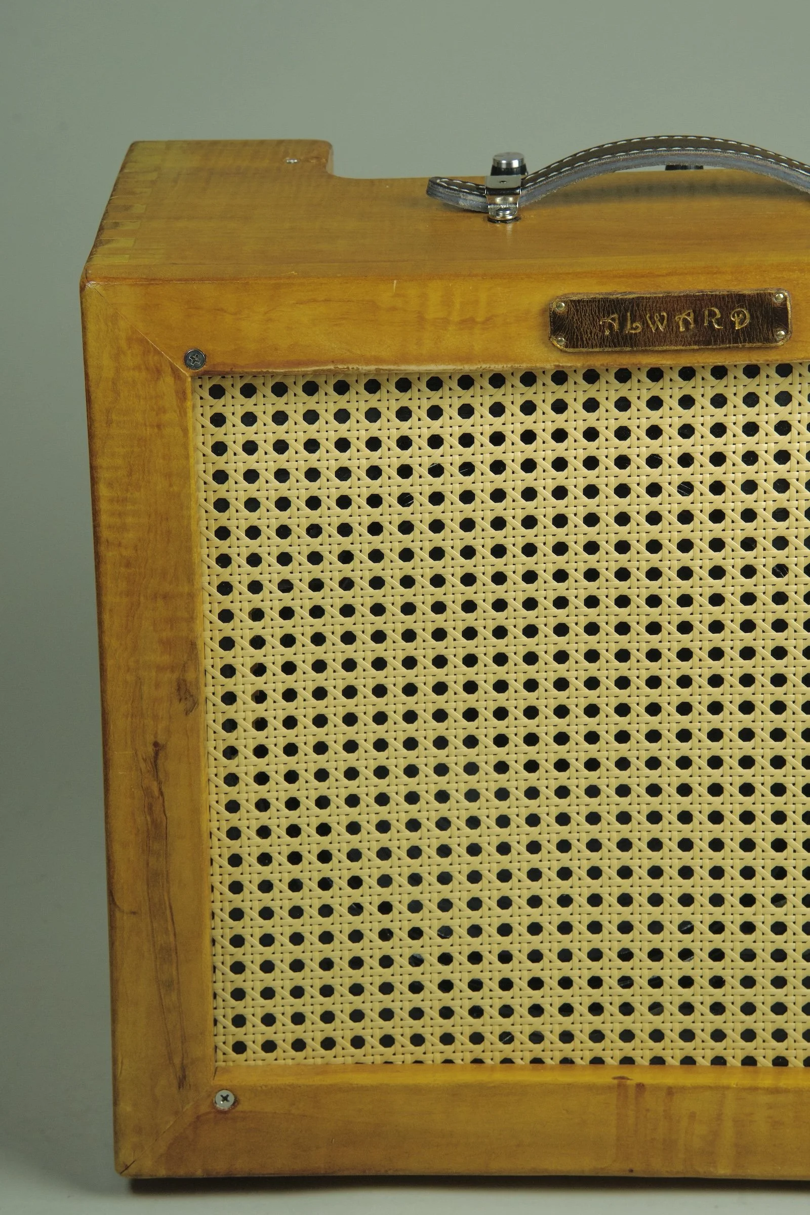 Alward Aquila Deluxe 12" Combo Amplifier2.jpeg