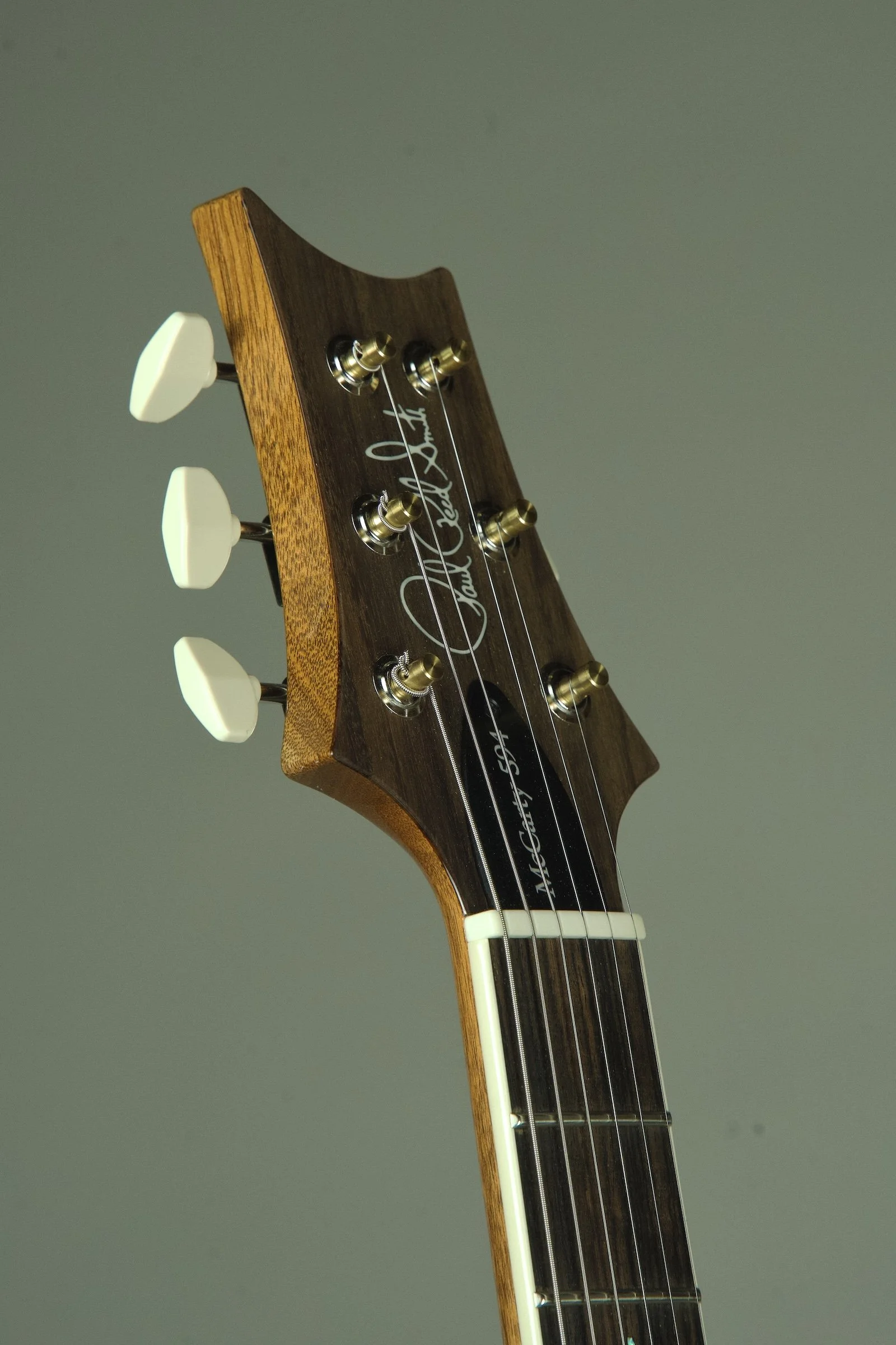 PRS McCarty 594 Electric Guitar - Painters Choice23.jpeg