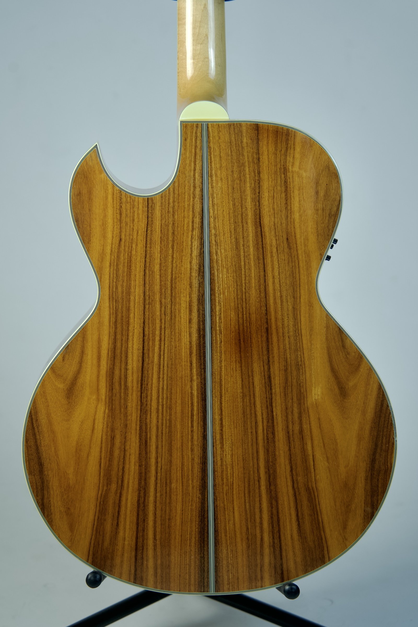Used Washburn Festival Series EA-45S7.jpeg