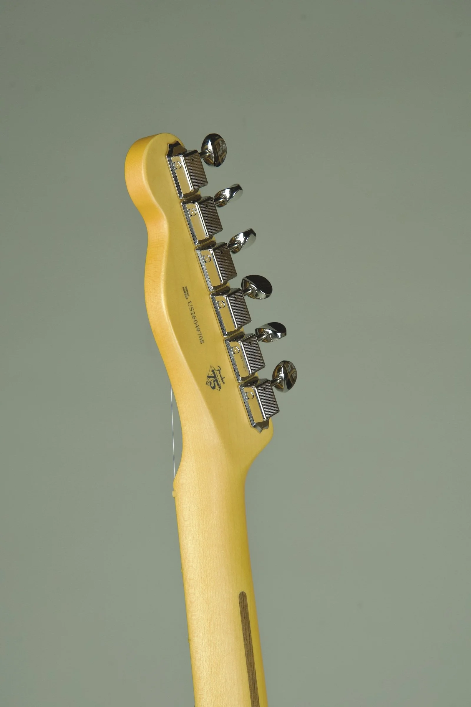 Fender American Professional Classic Telecaster Electric Guitar - Butterscotch Blonde21.jpeg