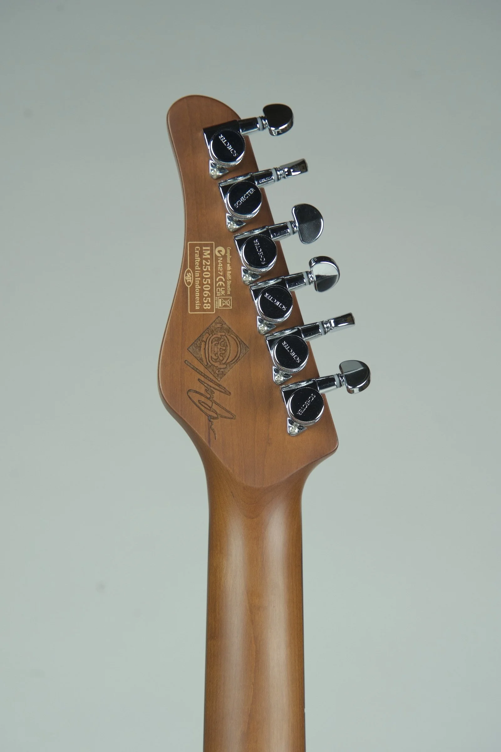 Schecter Nick Johnston Traditional HSS Electric Guitar - Atomic Green2.jpeg