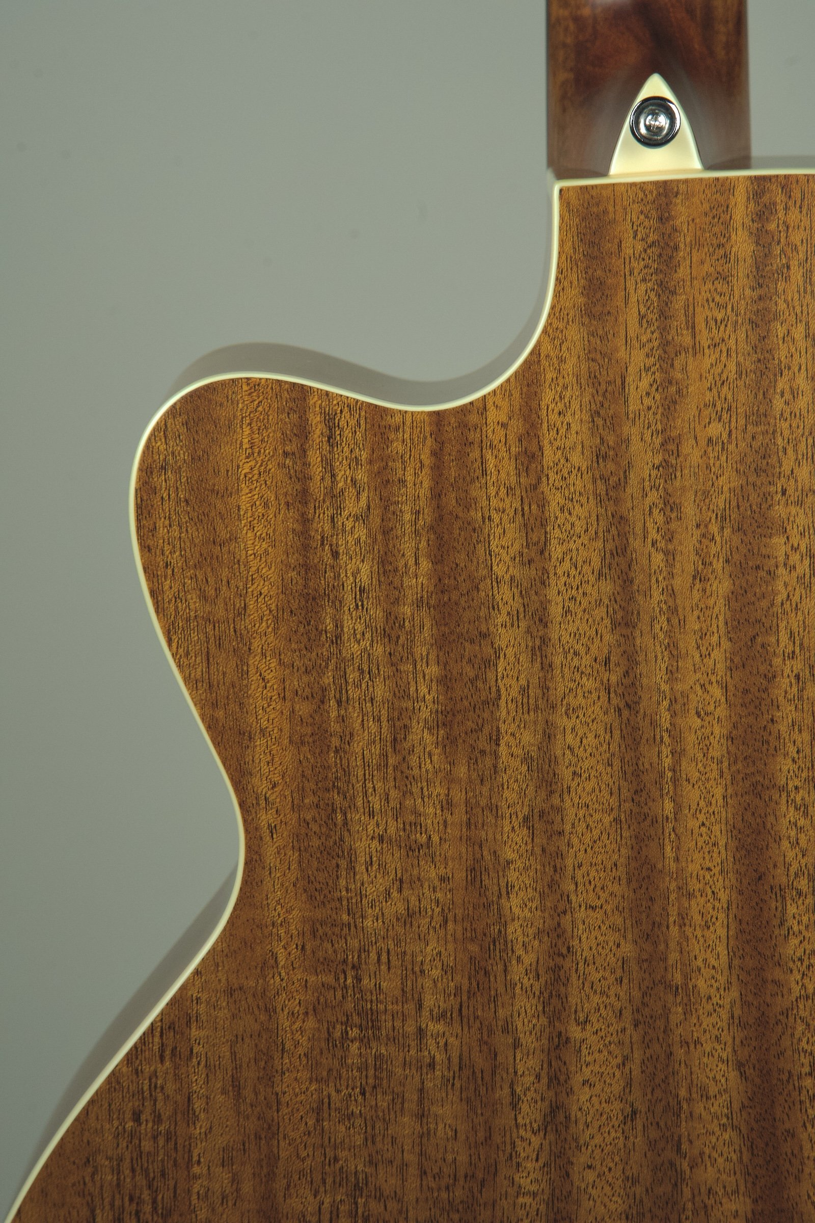 Alvarez AJB60ce Acoustic Bass Guitar 8.jpeg