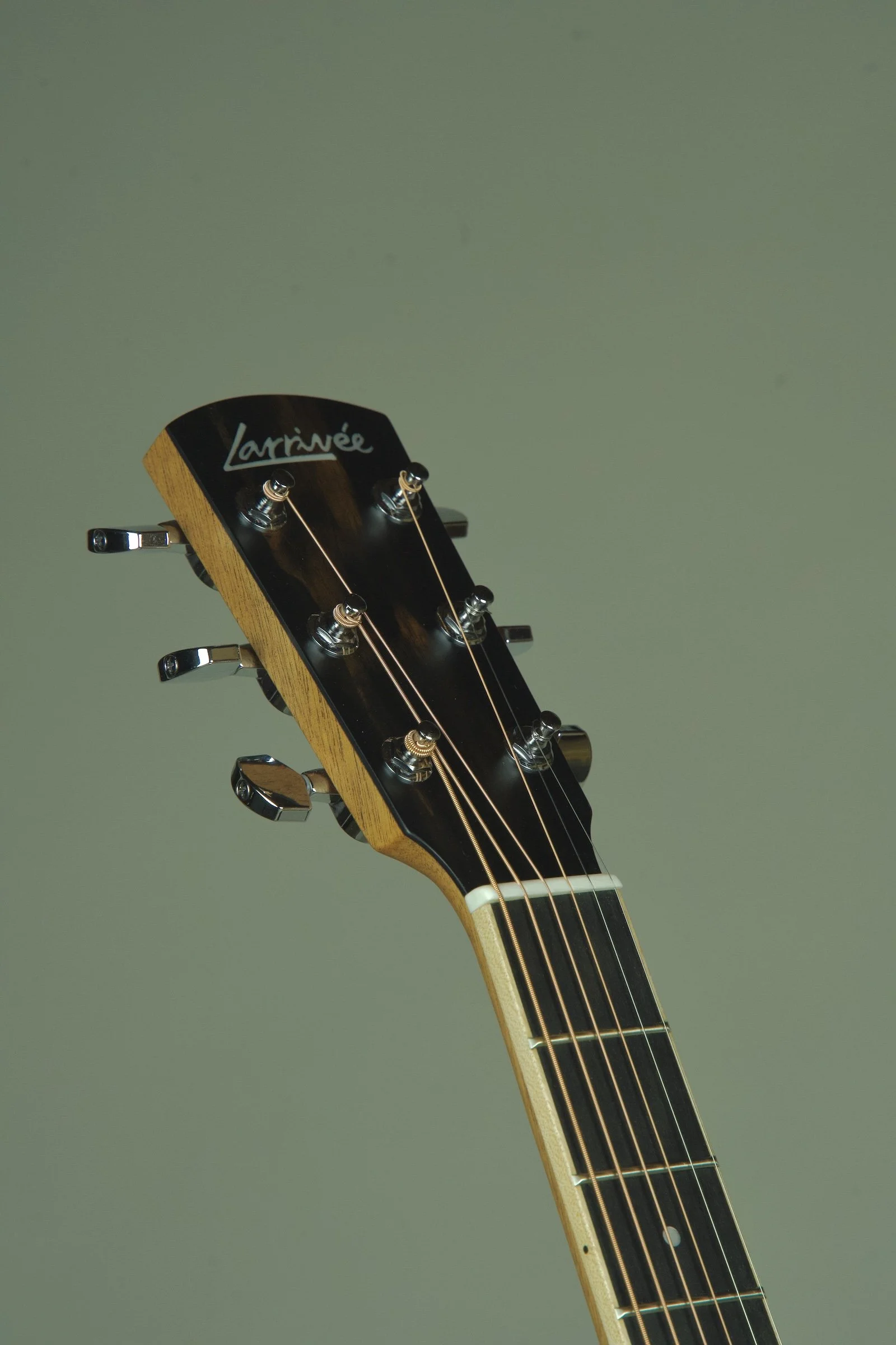 Larrivee DV-03R Acoustic Electric Guitar17.jpeg