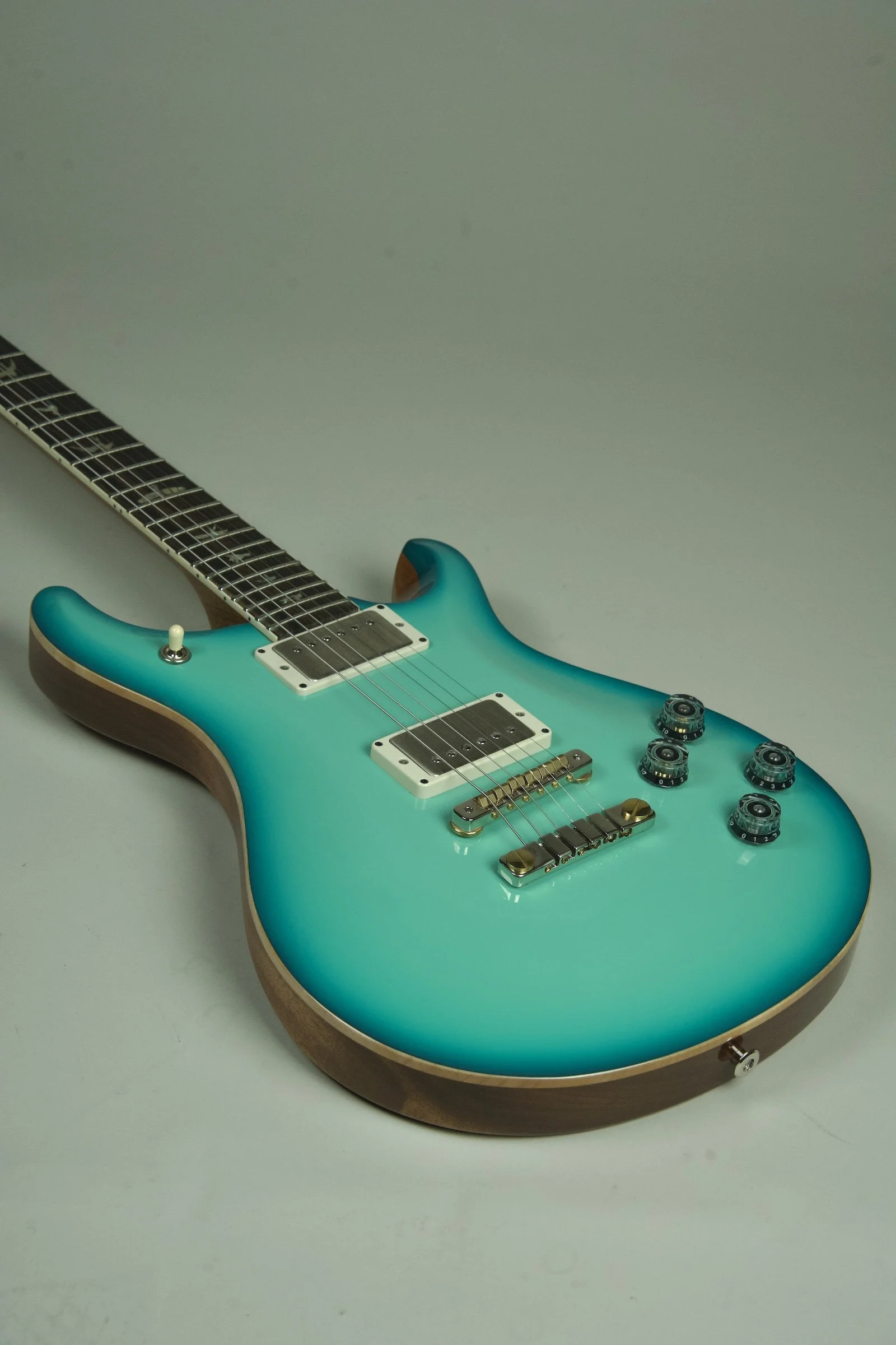 PRS McCasrty 594 Electric Guitar - Painters Choice29.jpeg