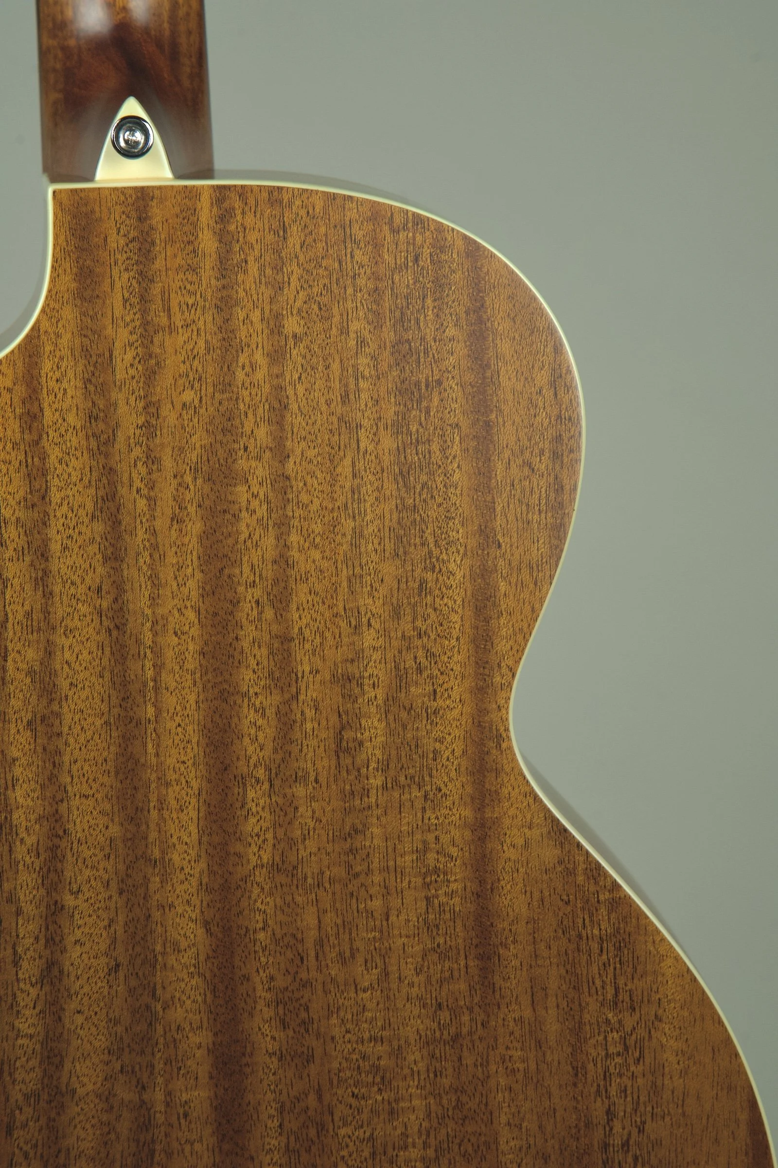 Alvarez AJB60ce Acoustic Bass Guitar 9.jpeg