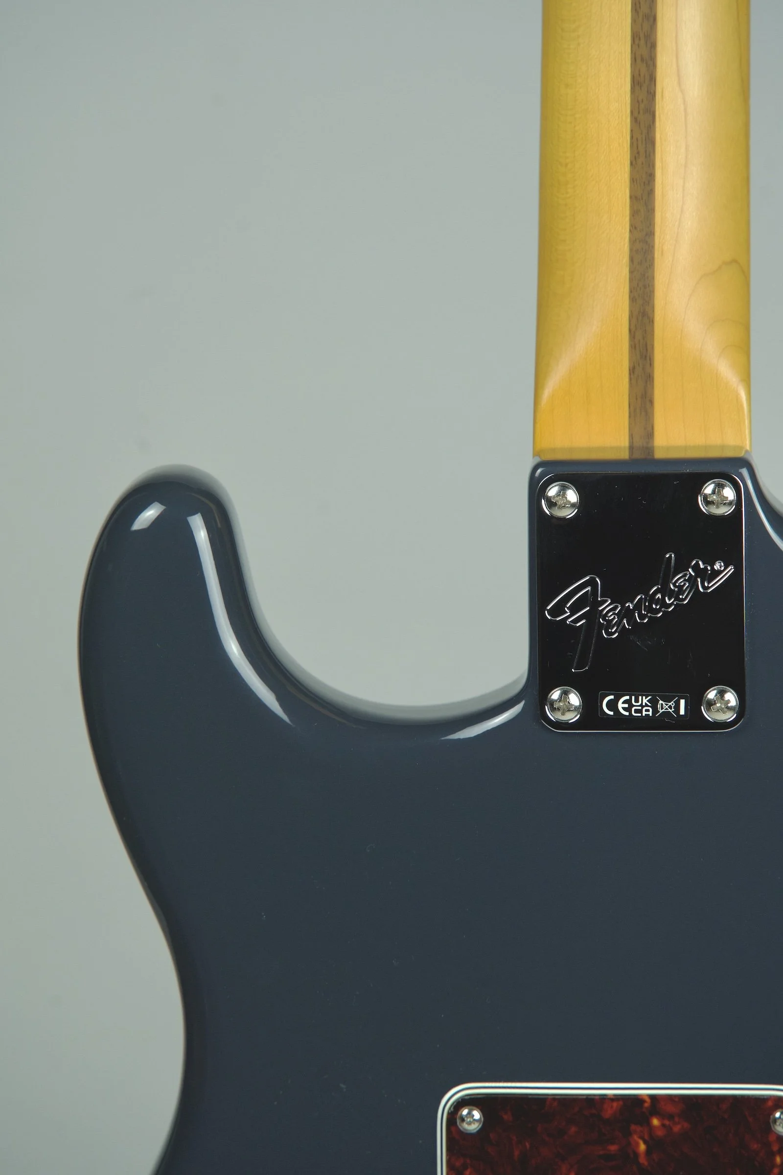 Fender American Professional Classic Stratocaster Electric Guitar - Faded Black13.jpeg