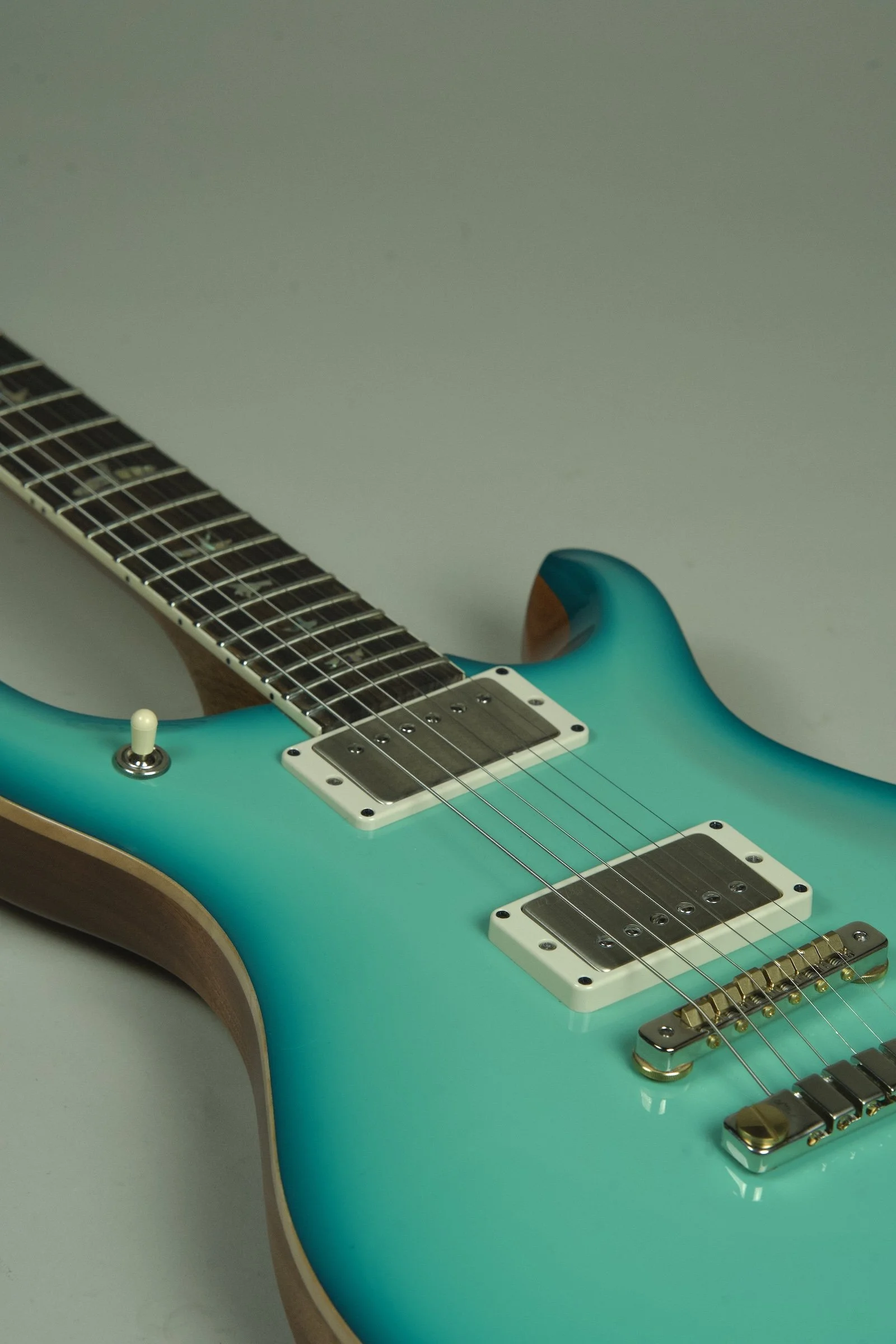 PRS McCasrty 594 Electric Guitar - Painters Choice30.jpeg