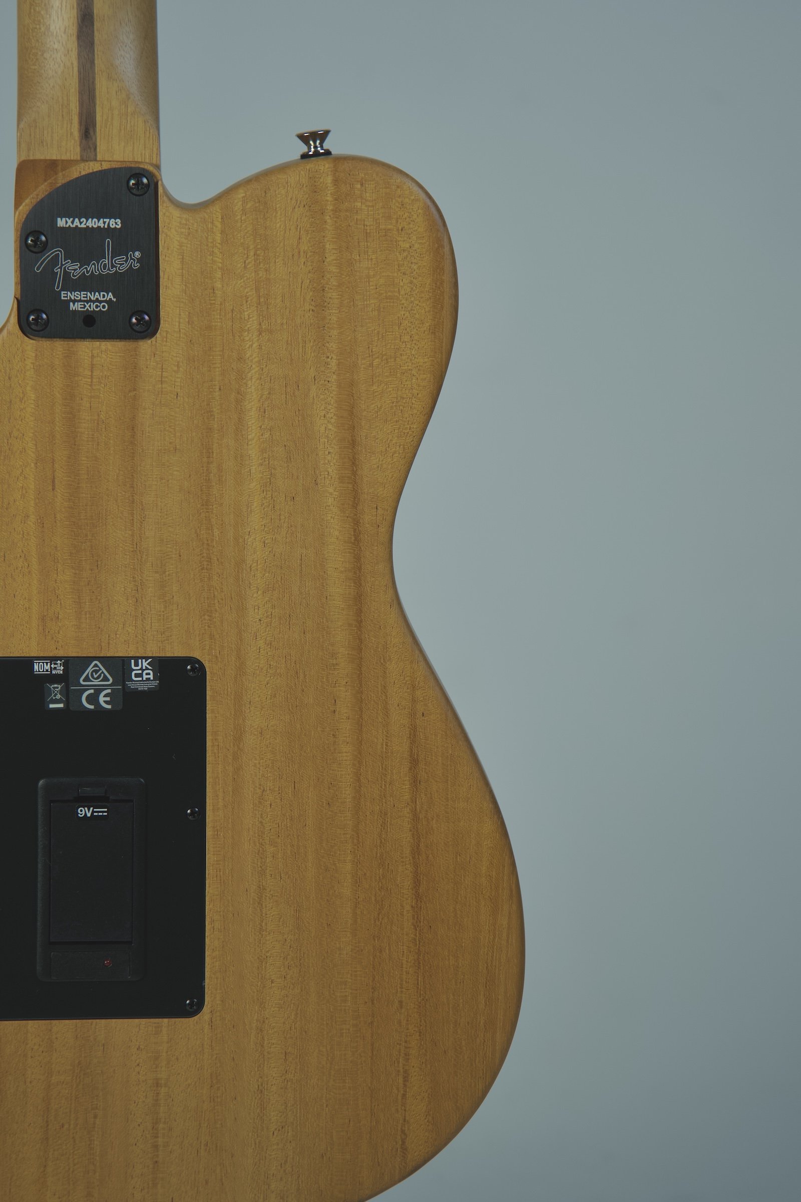 Fender Acoustasonic Finneas Telecaster10.jpeg