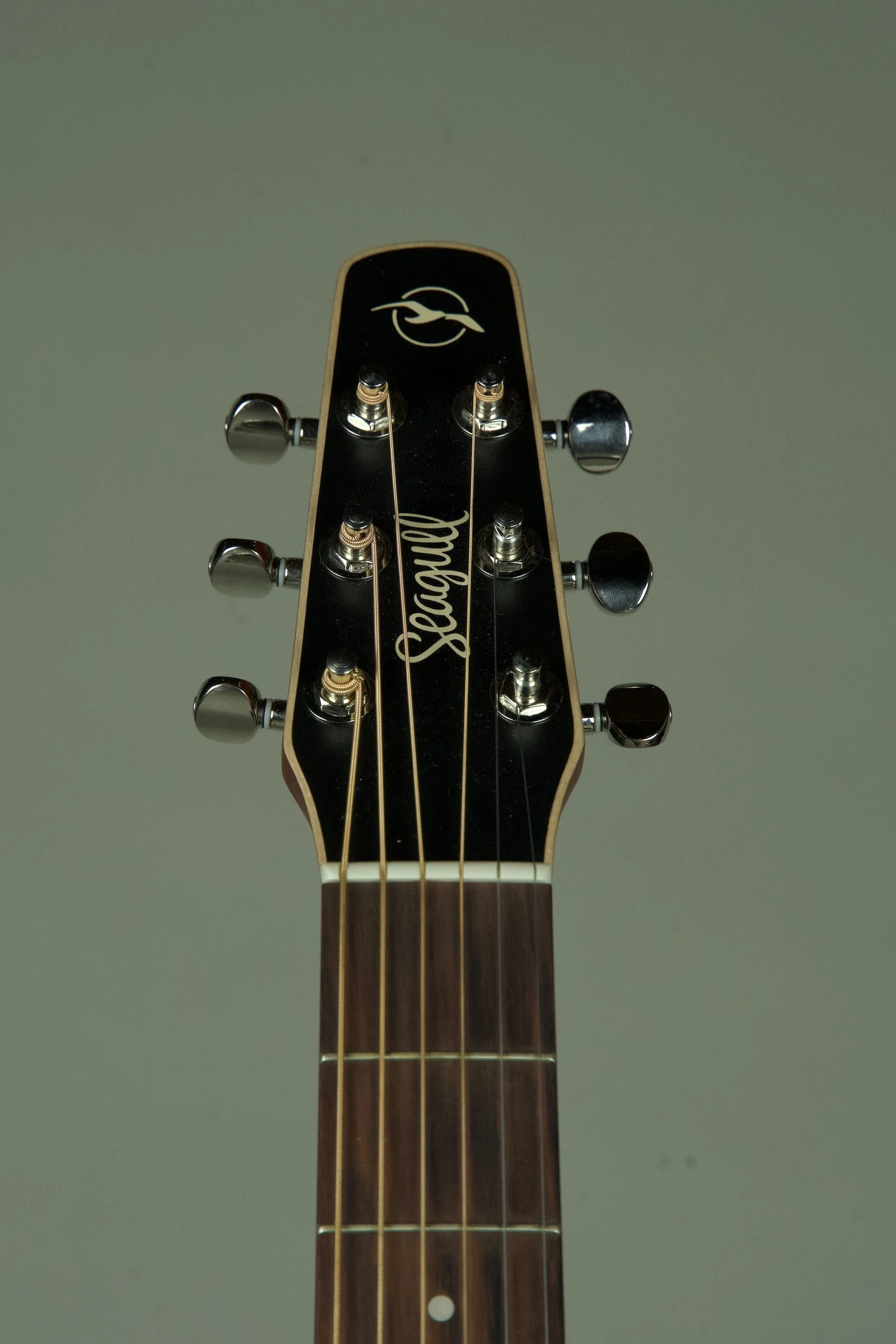 Seagull Coastline Spruce Acoustic Electric Guitar3.jpeg
