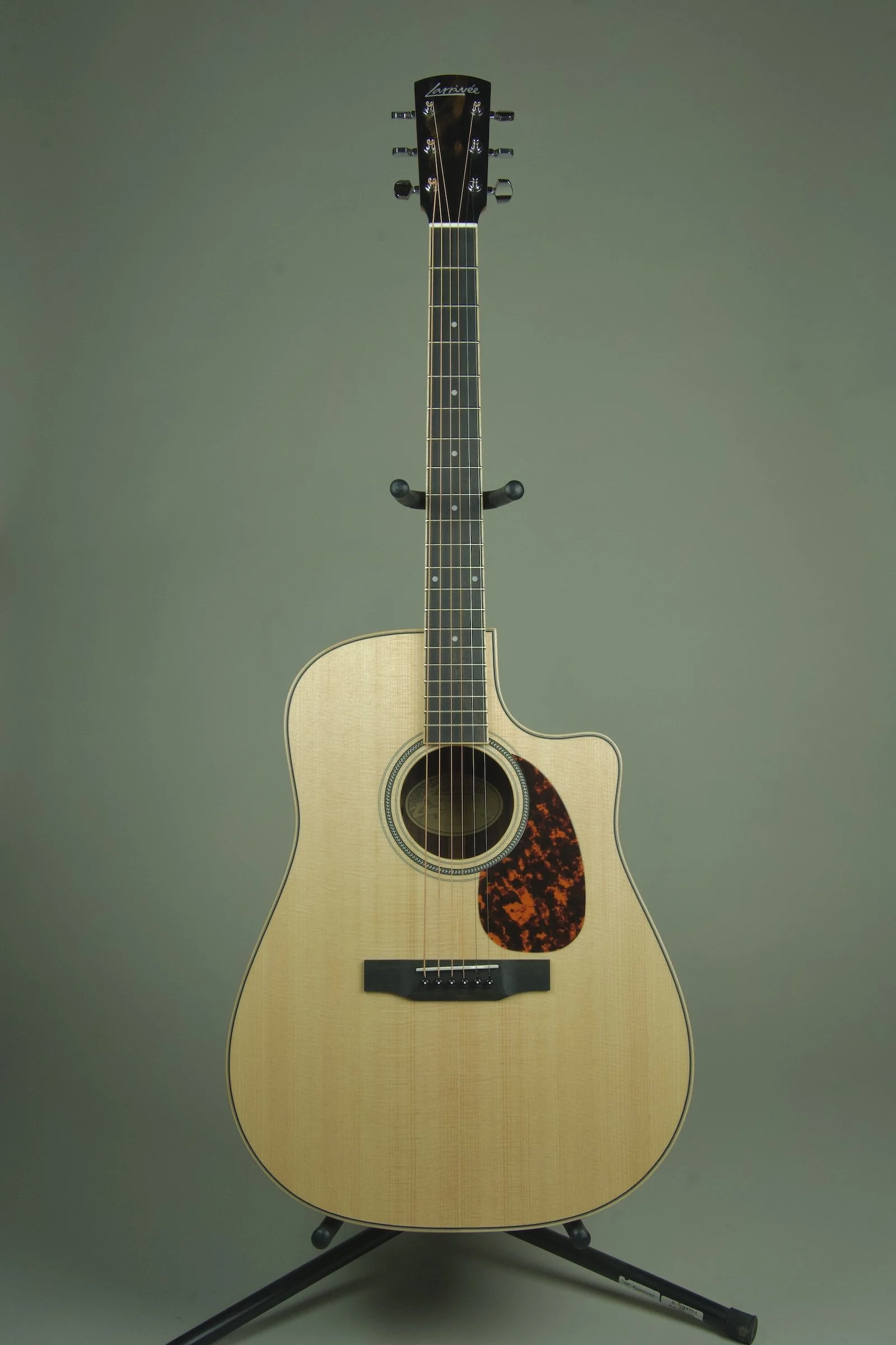 Larrivee DV-03R Acoustic Electric Guitar1.jpeg