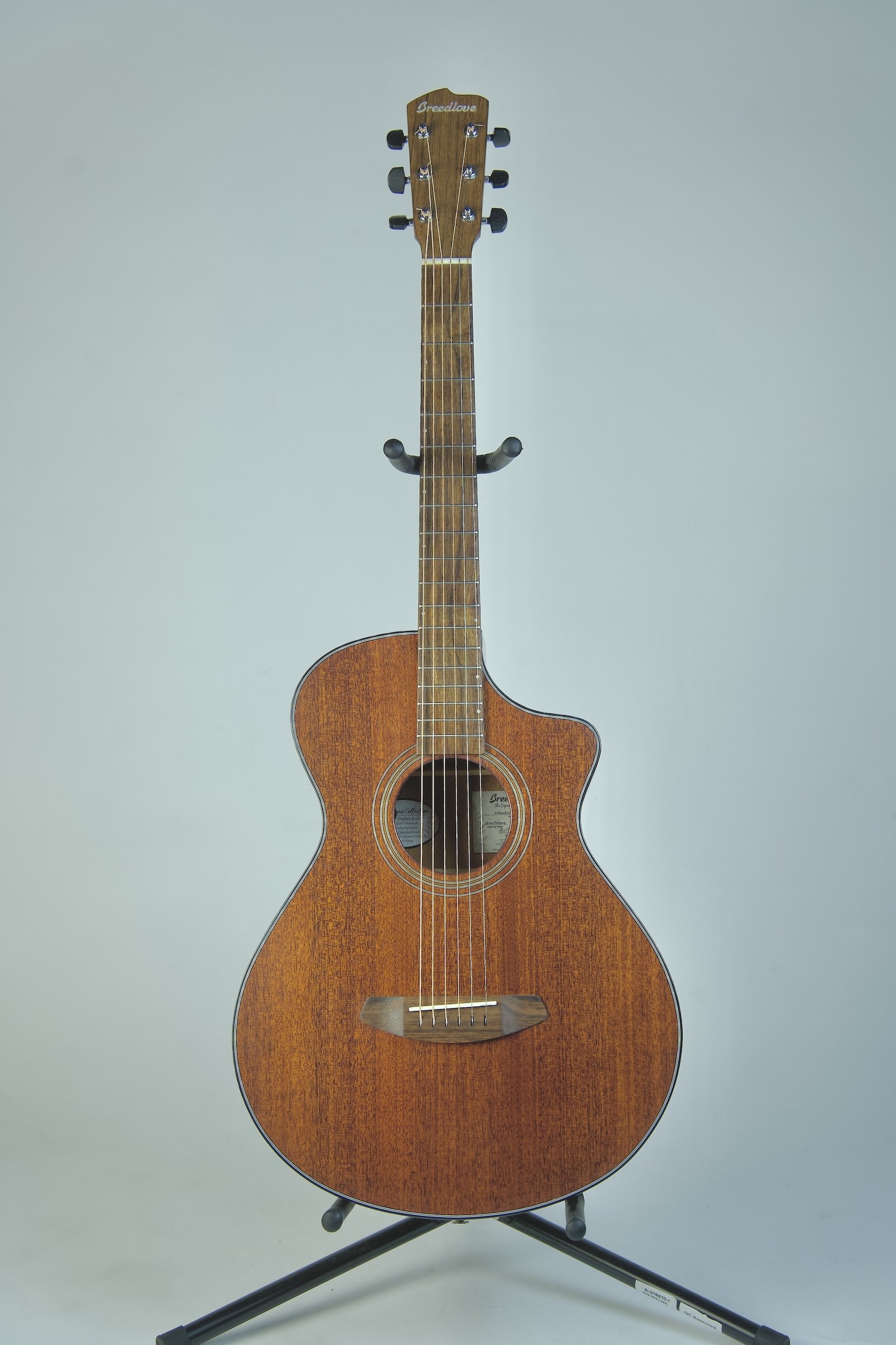 Used Breedlove Wildwood Concertina Satin CE Acoustic Electric Guitar1.jpeg