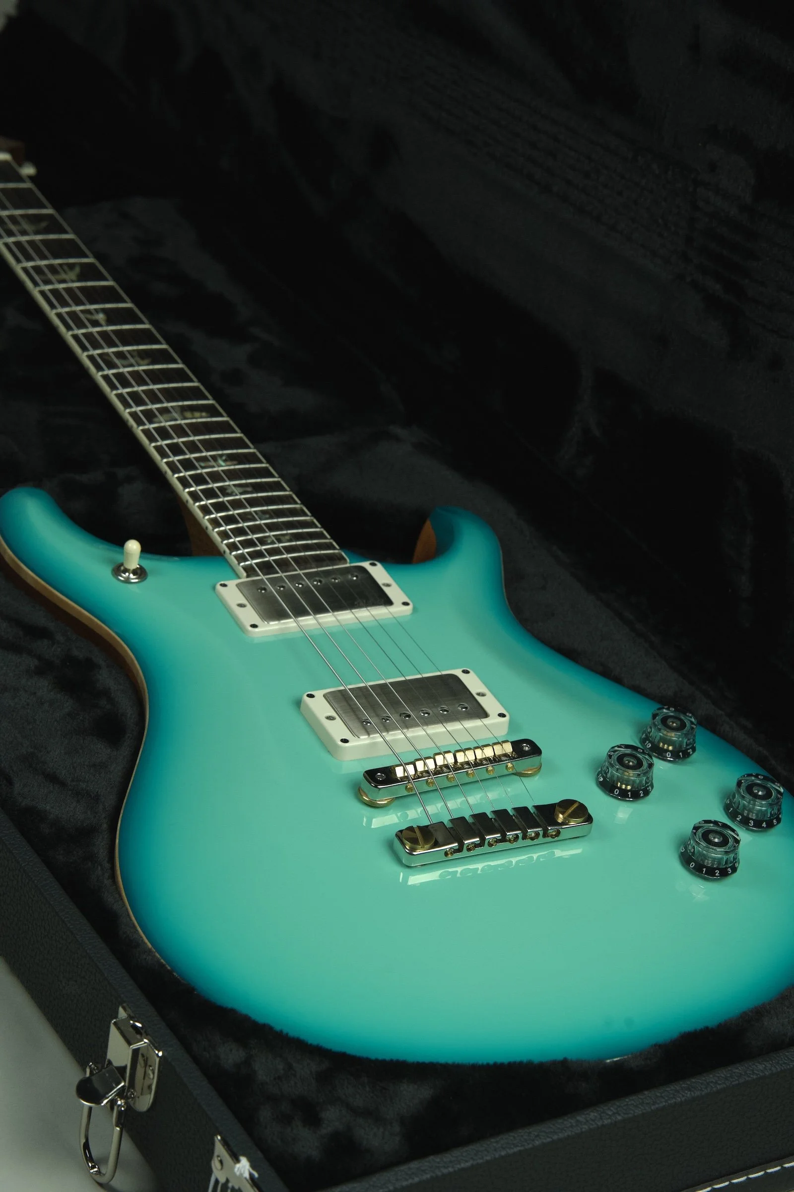 PRS McCarty 594 Electric Guitar - Painters Choice3.jpeg