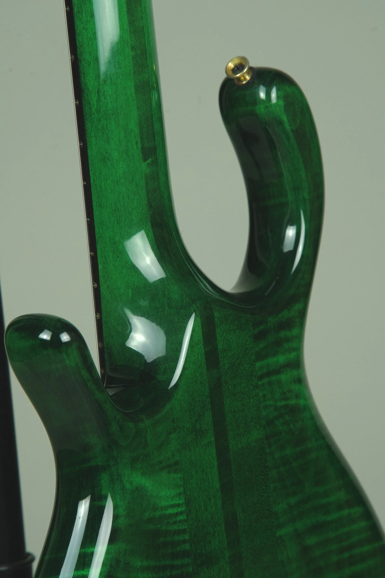 Pedulla MVP 5 String Bass Guitar29.jpeg