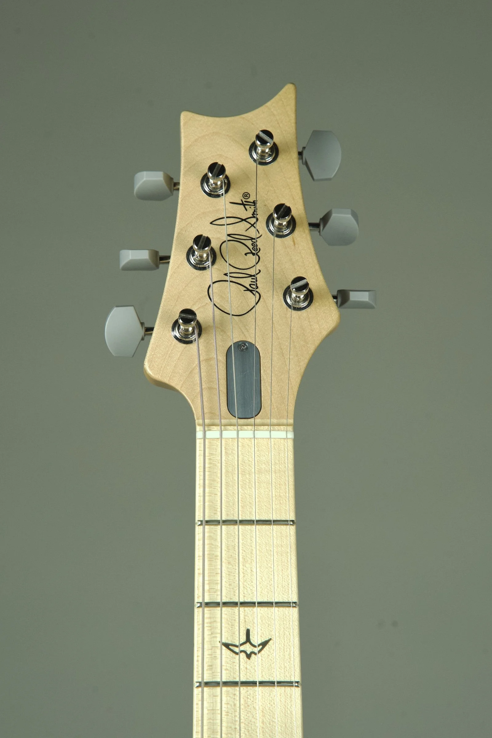 PRS Silver Sky Electric Guitar - Polar Blue6.jpeg