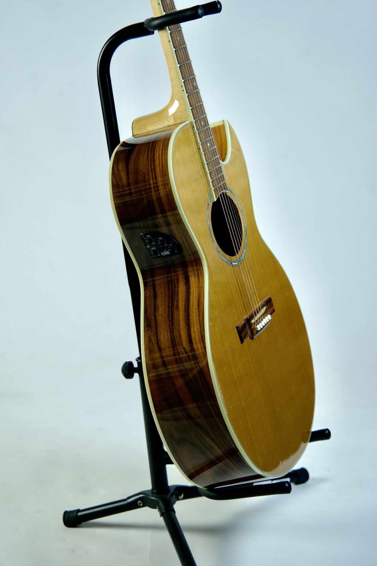 Used Washburn Festival Series EA-45S11.jpeg
