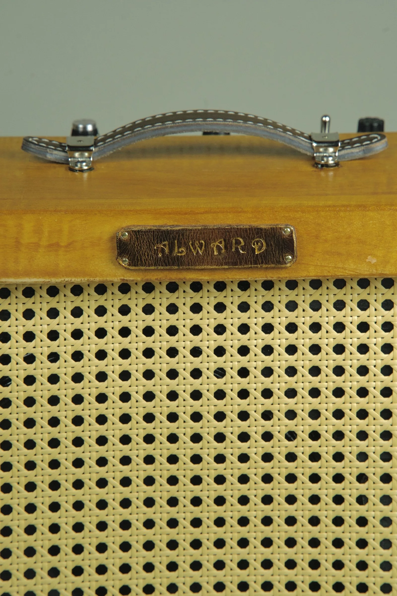 Alward Aquila Deluxe 12" Combo Amplifier3.jpeg