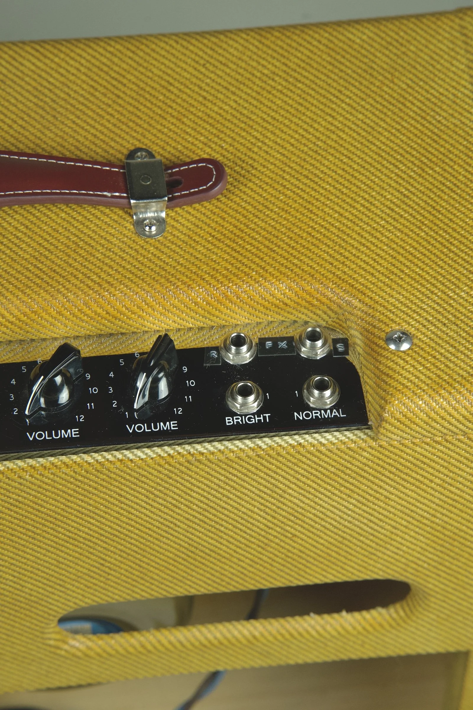 Alward Golden Eagle Deluxe Combo Amplifier16.jpeg