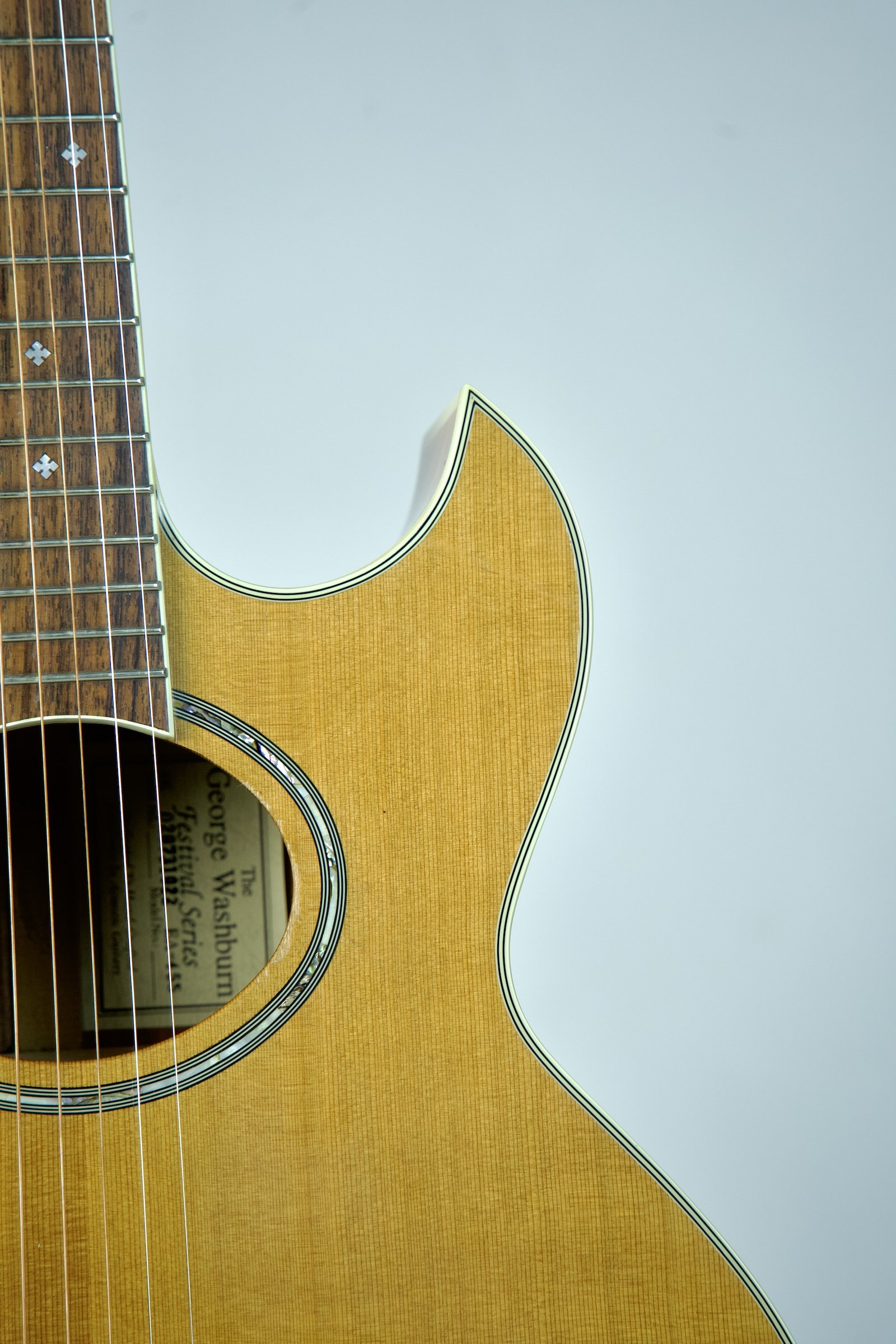 Used Washburn Festival Series EA-45S5.jpeg