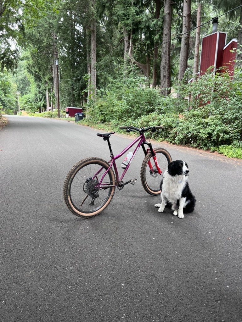 PNW Biking .jpeg
